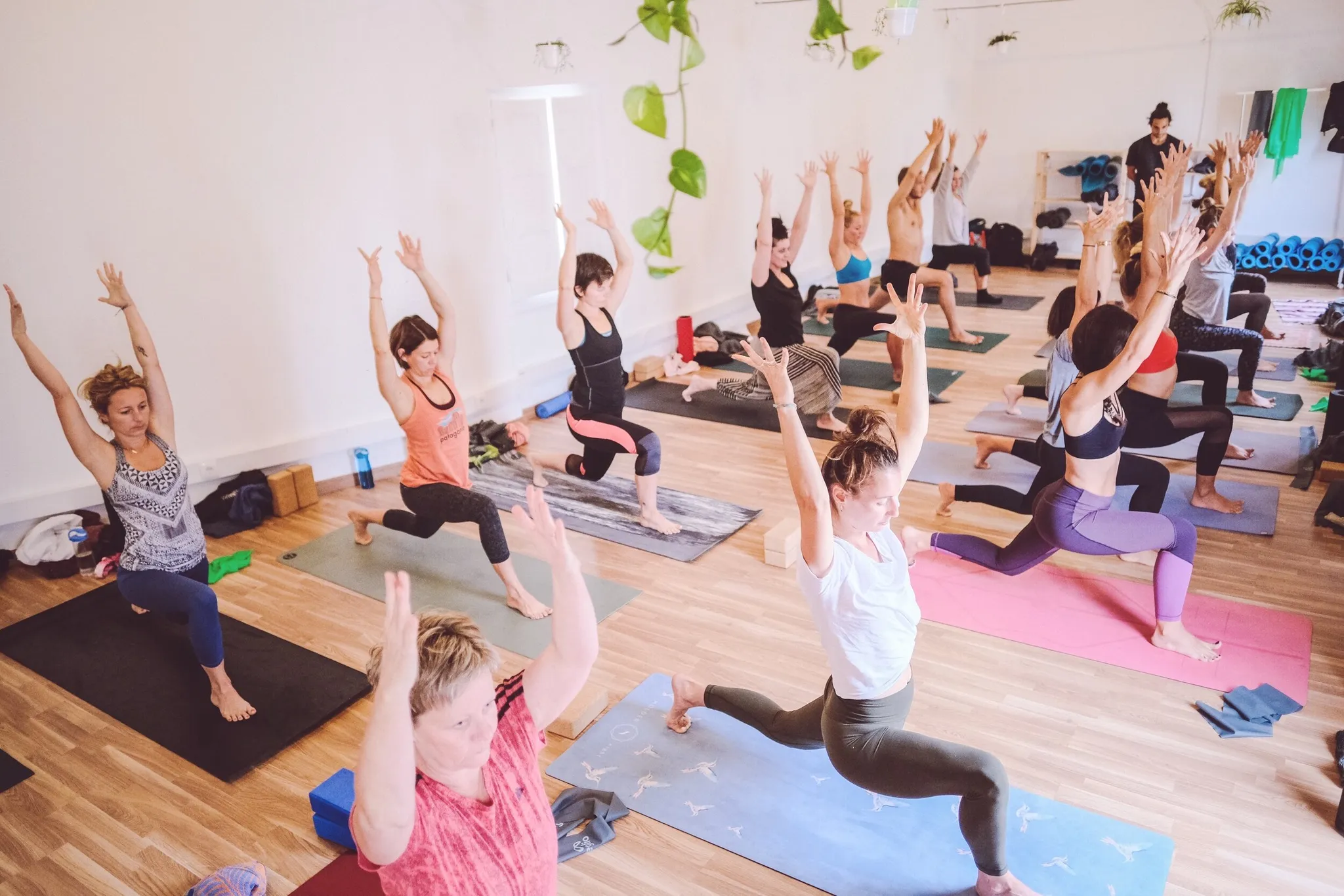 Loup Studio Now Open