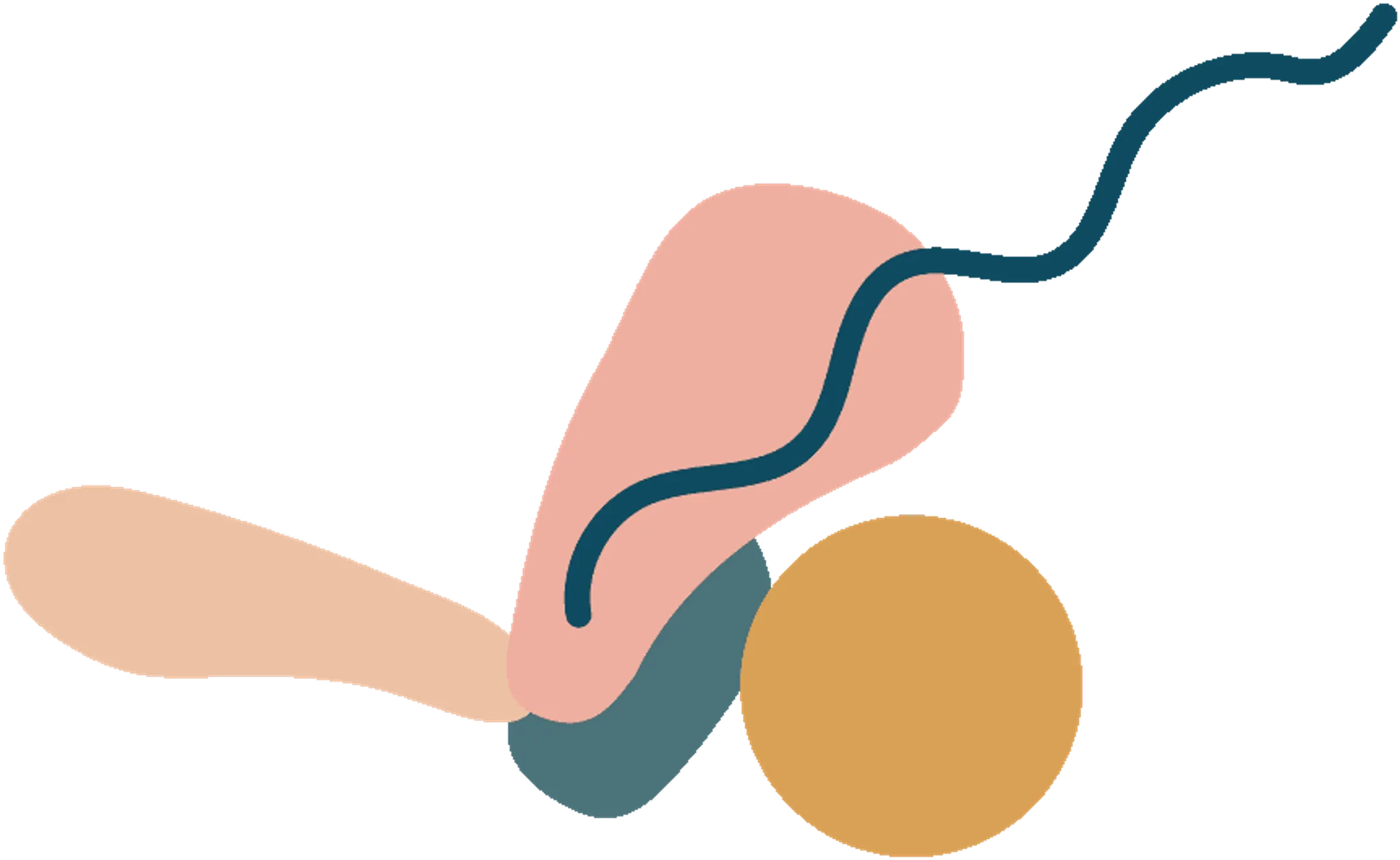 Summer Pilates Pop-up Orakei