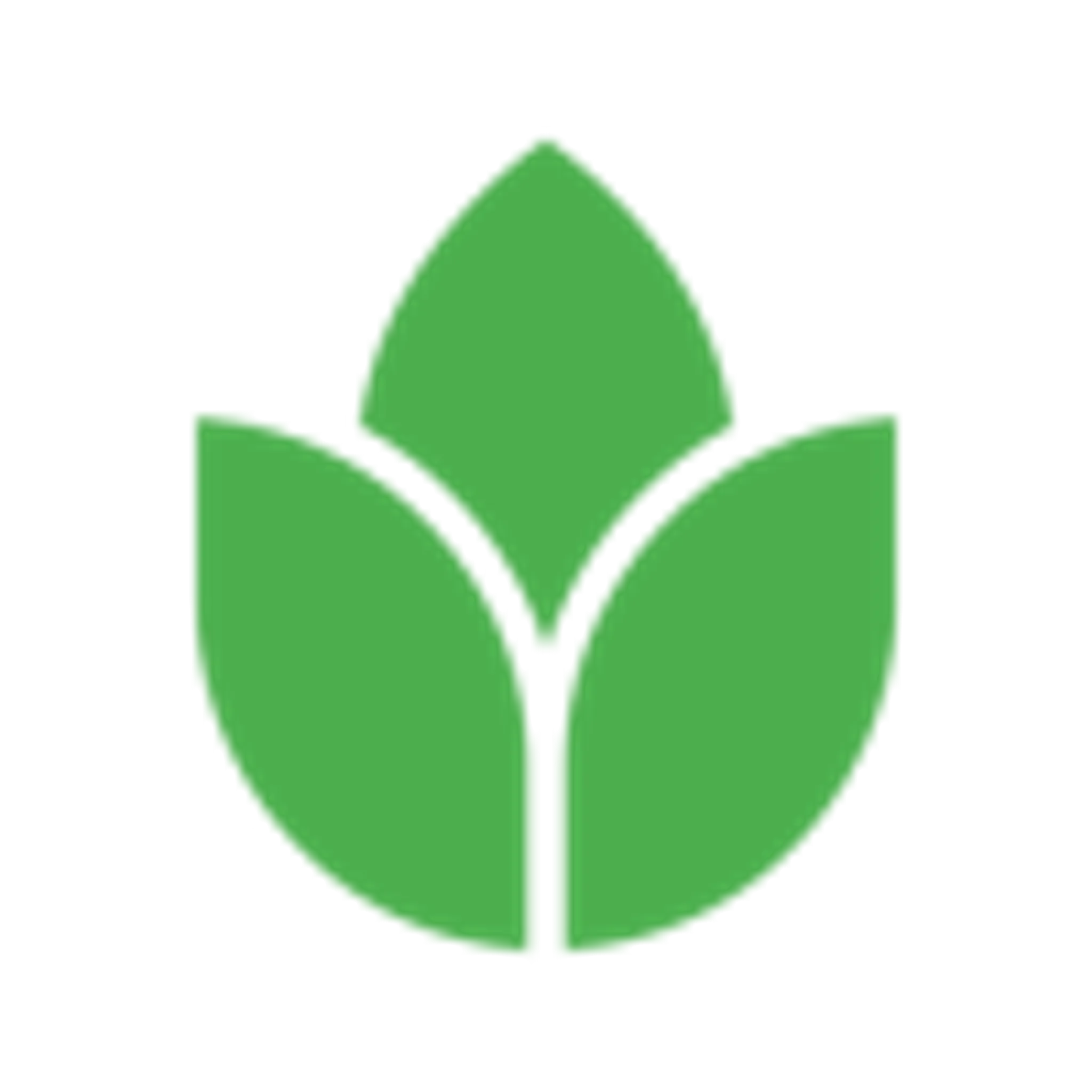 Mukta Kundalini Tantra Yoga India