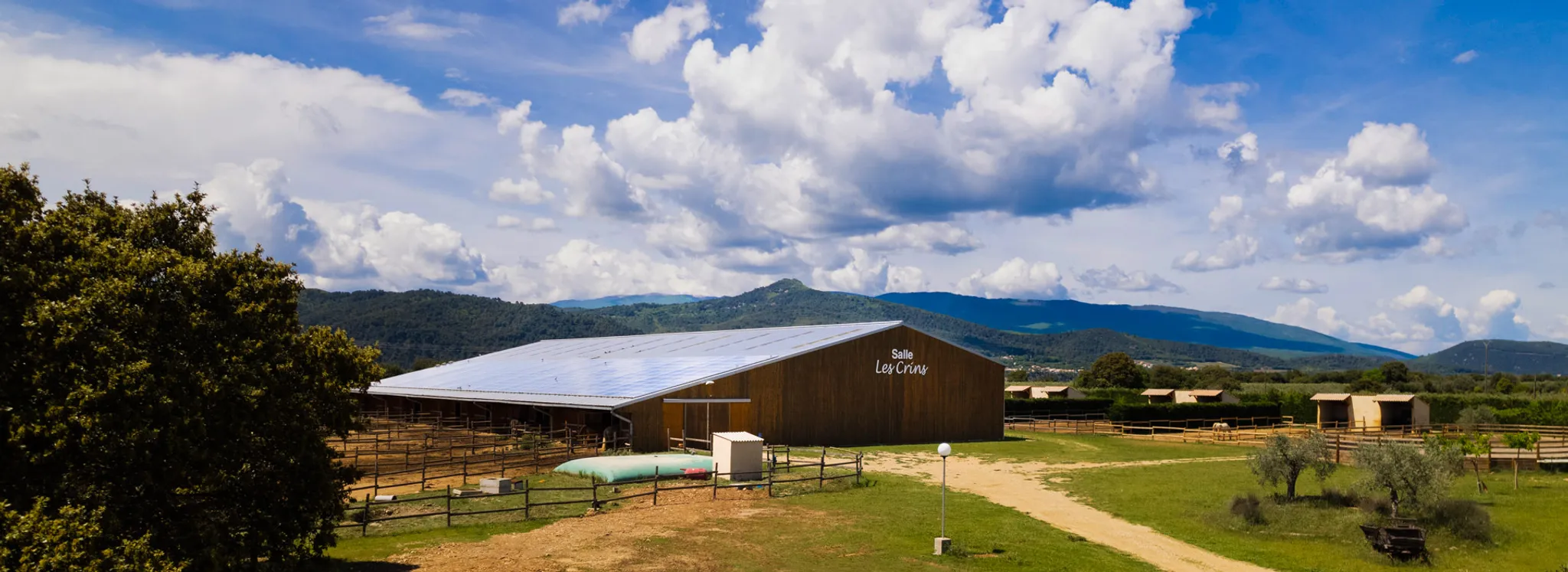 Camps Équestres Juillet 2024