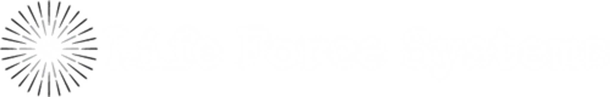 Boot Camp Life Force Systems