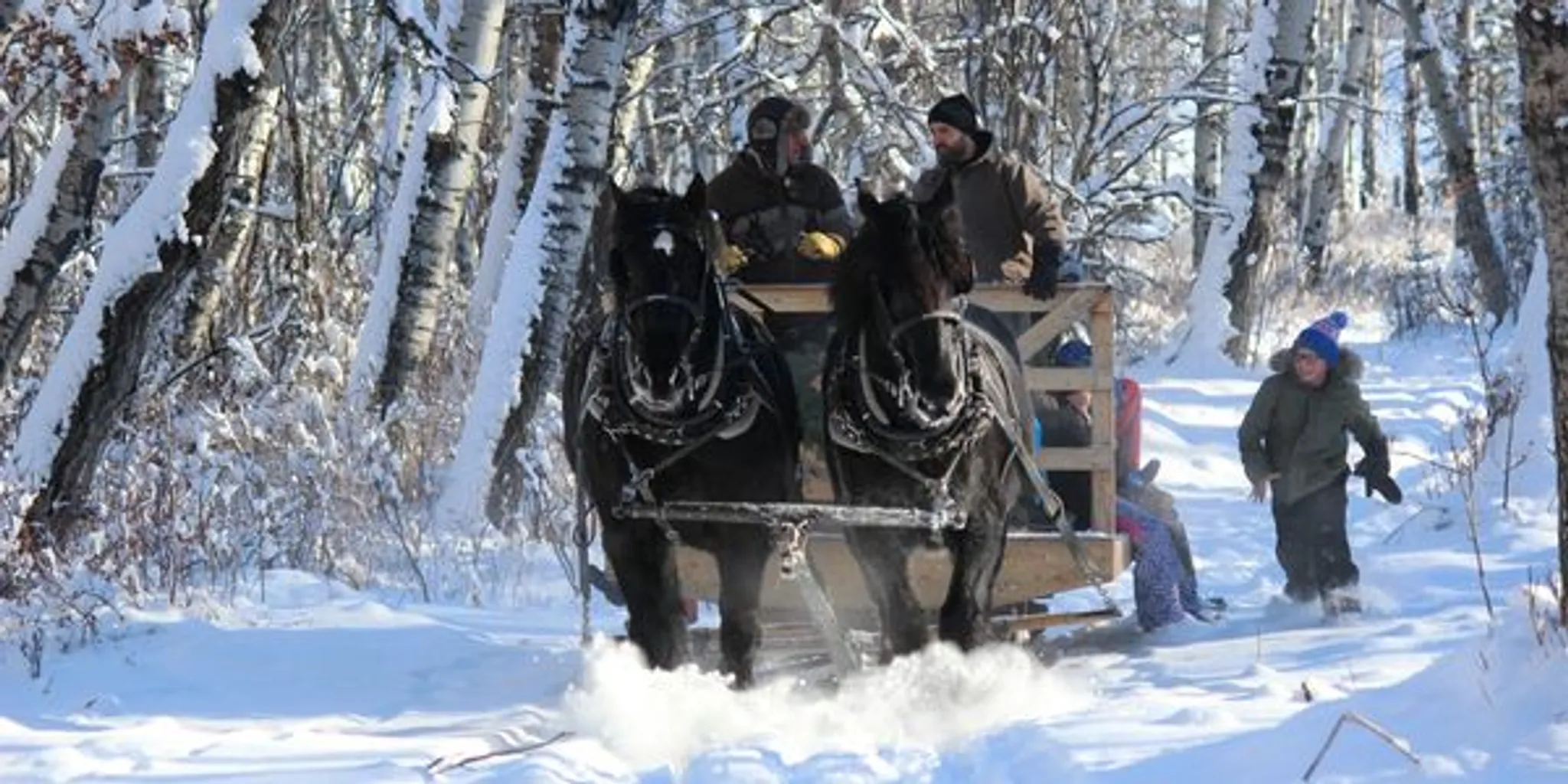 2024 Summer Horseback Riding Camps & Lessons