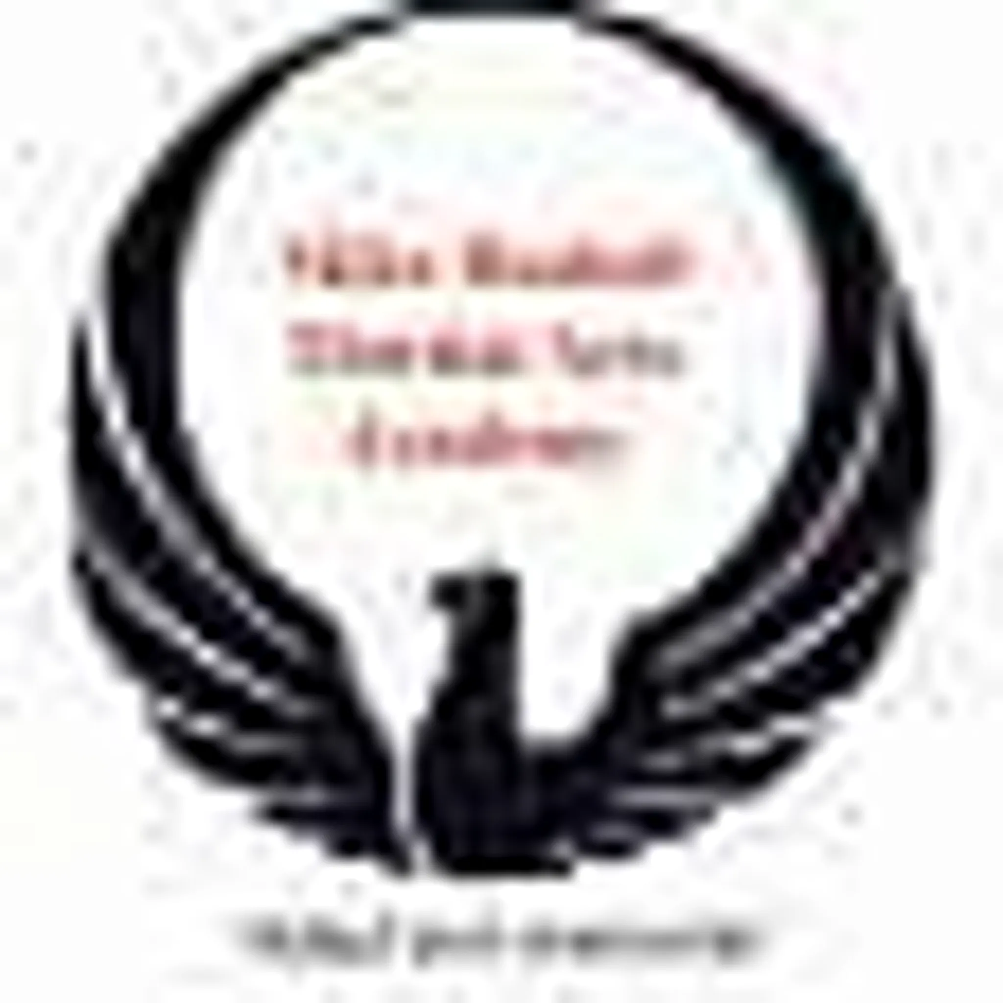 Mike Bushell Martial Arts Academy