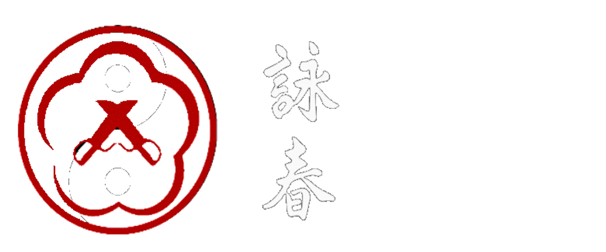 Martial Arts Leeds/Bradford - Wing Chun Kung Fu School