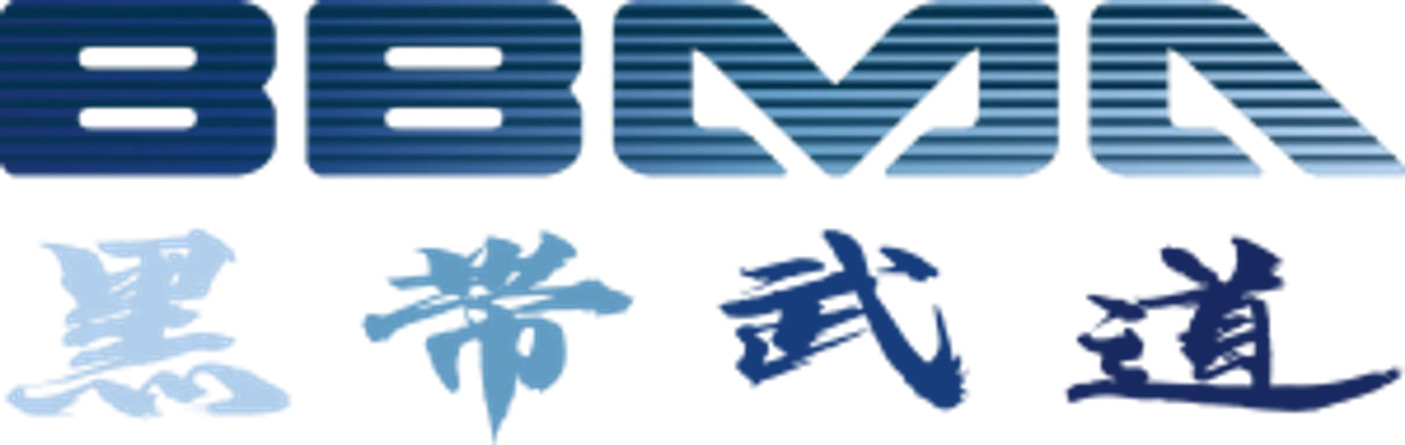 BLACK BELT MARTIAL ARTS KINCUMBER