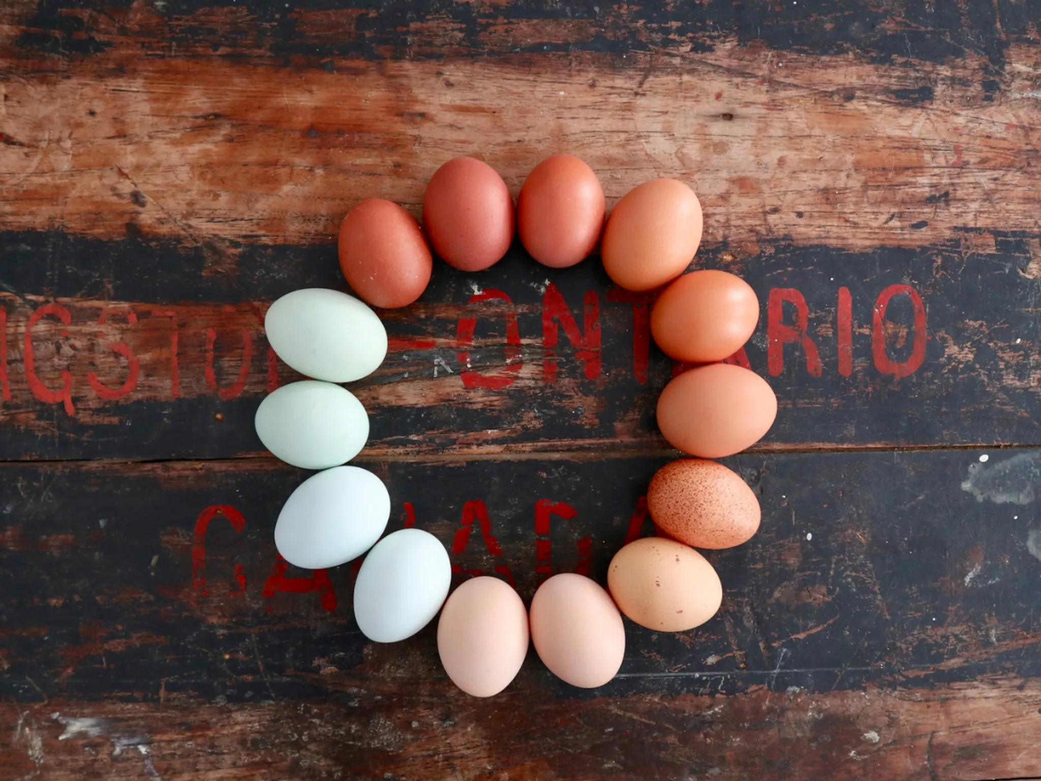 Elements Fitness and Wellness