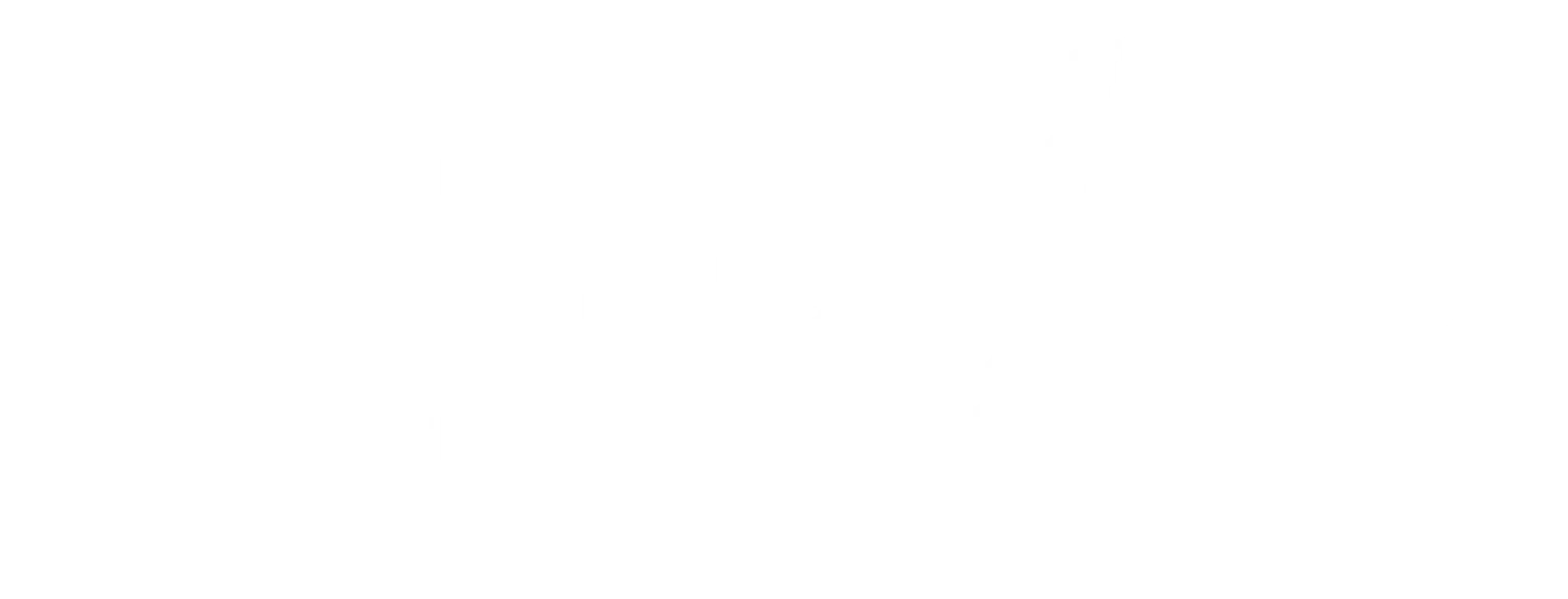 Elev8 Health & Performance