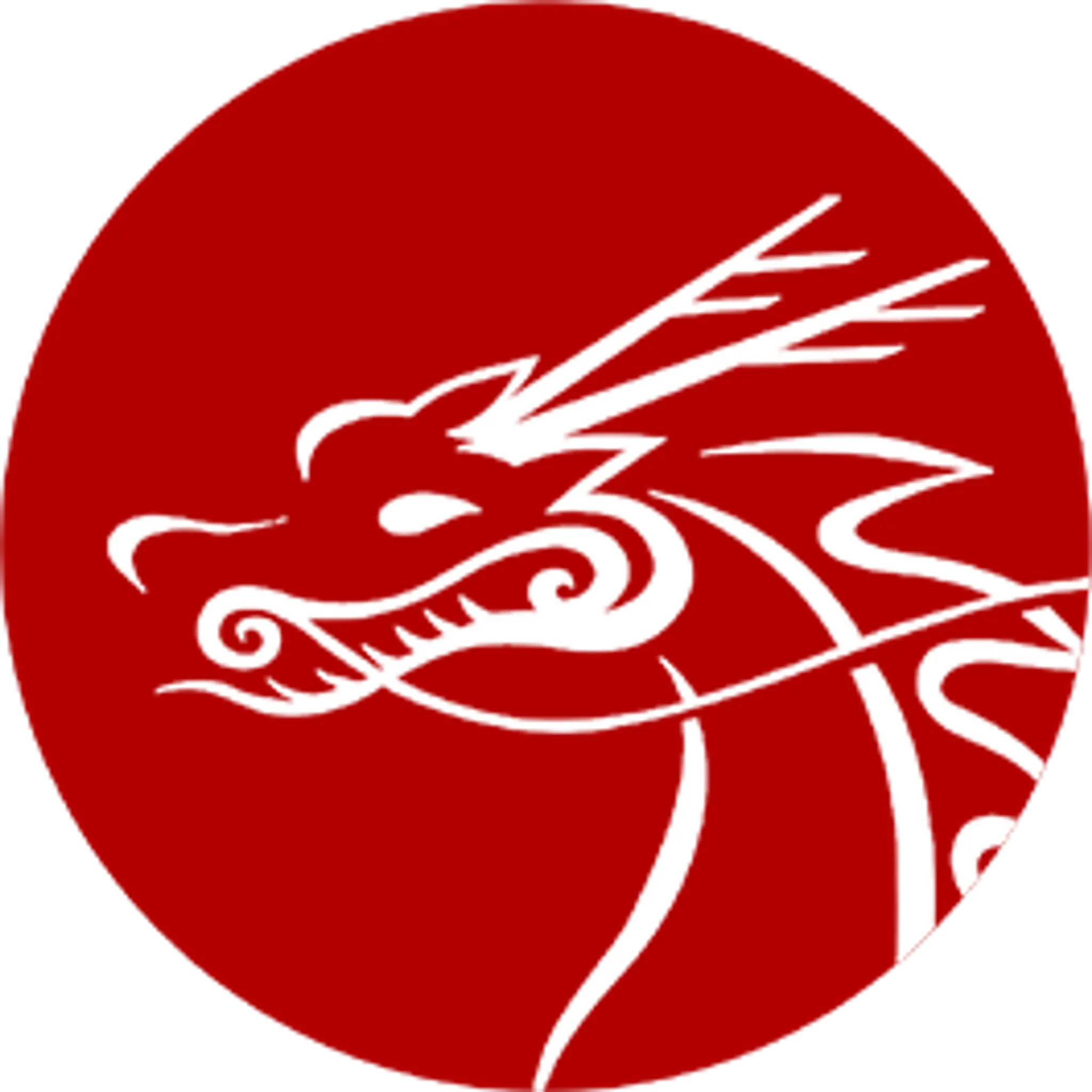 Ecole De Kung Fu Patenaude