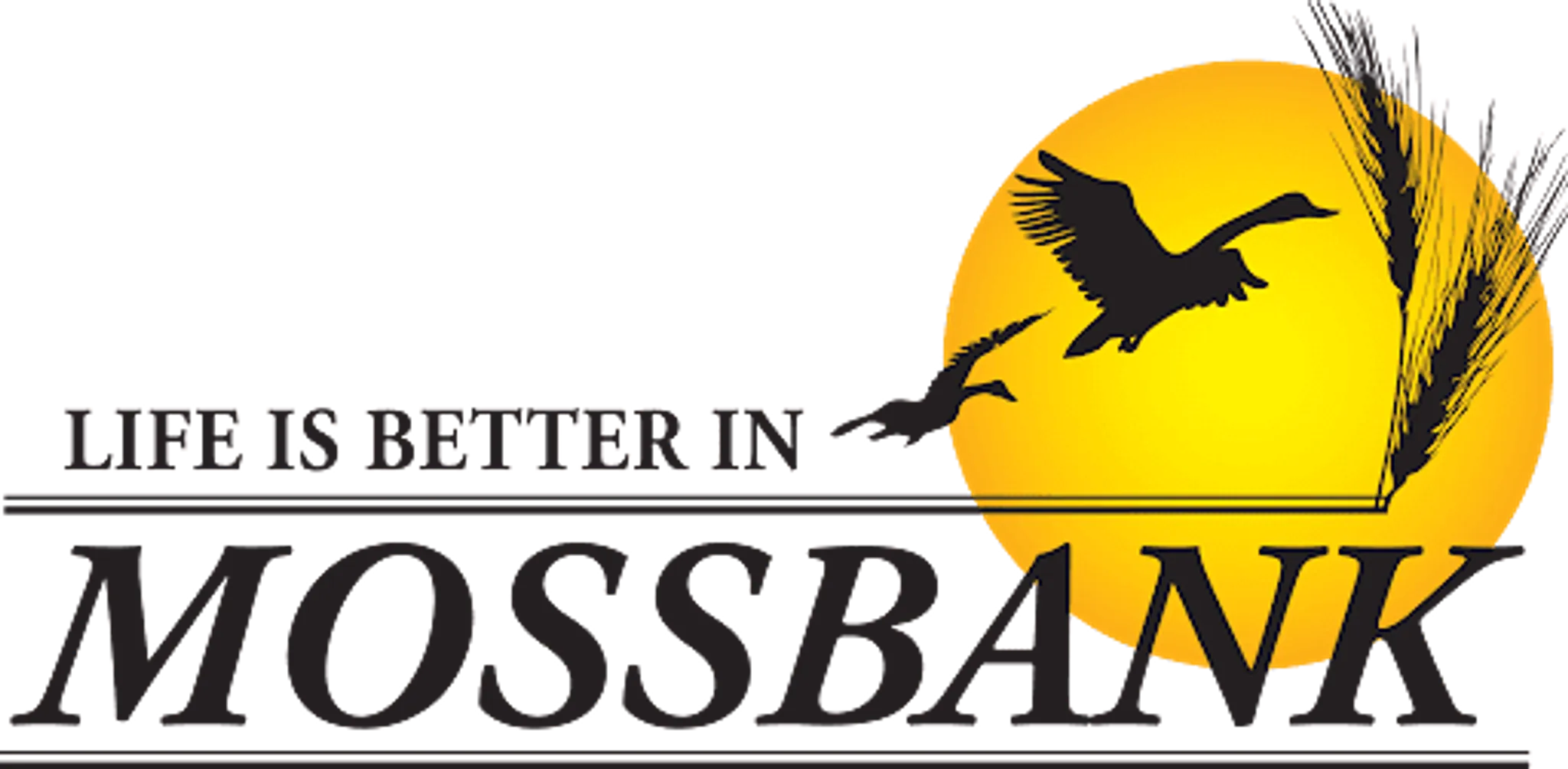 Mossbank Swimming Pool