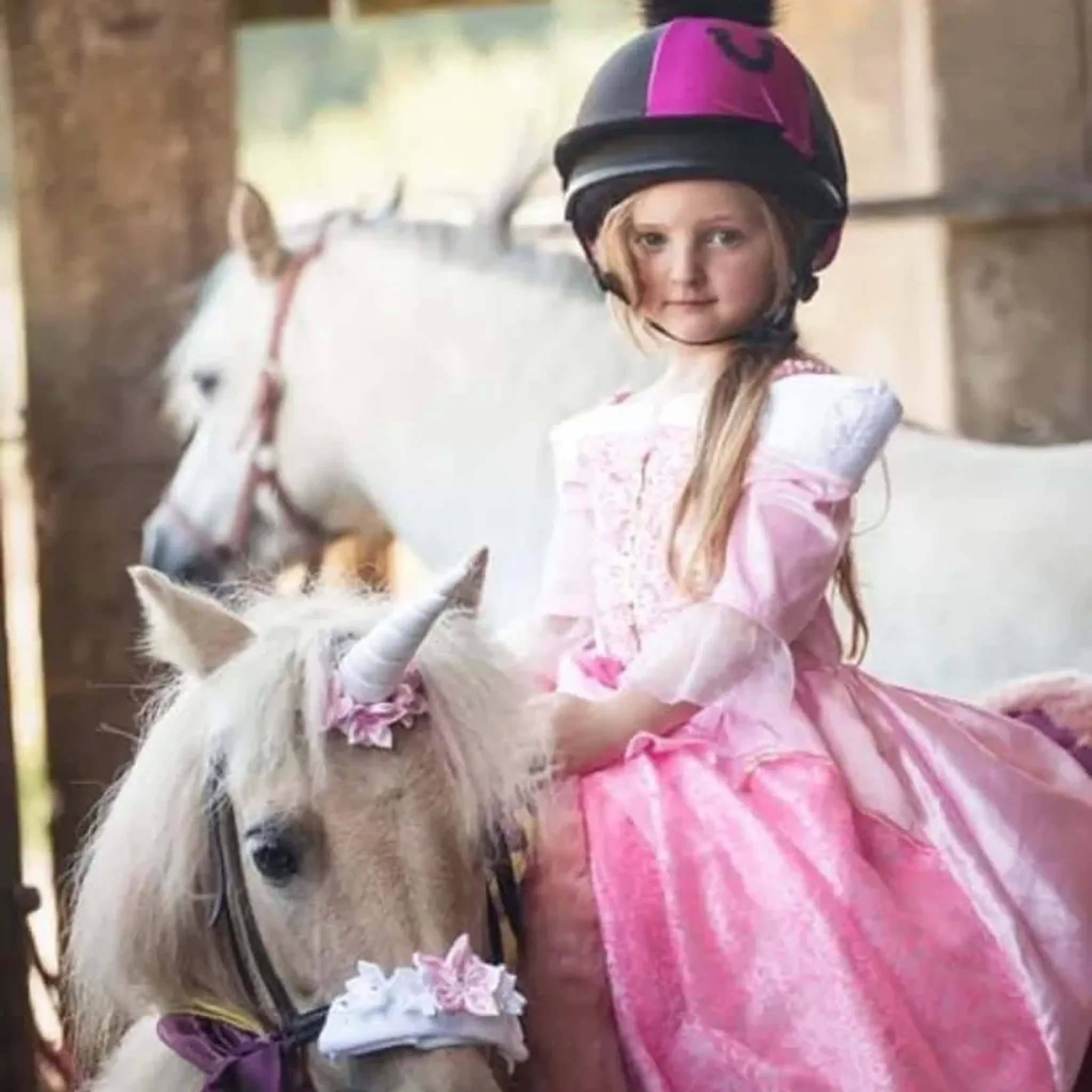 Honeybrook riding stables