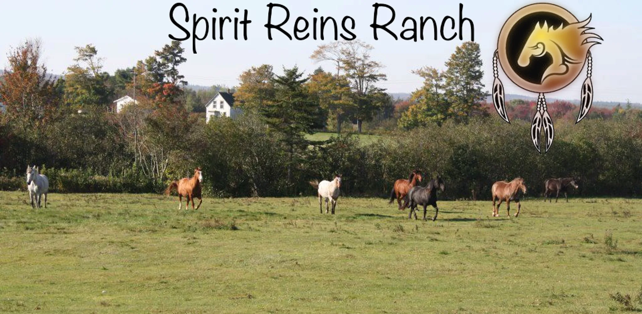 Spirit Reins Ranch