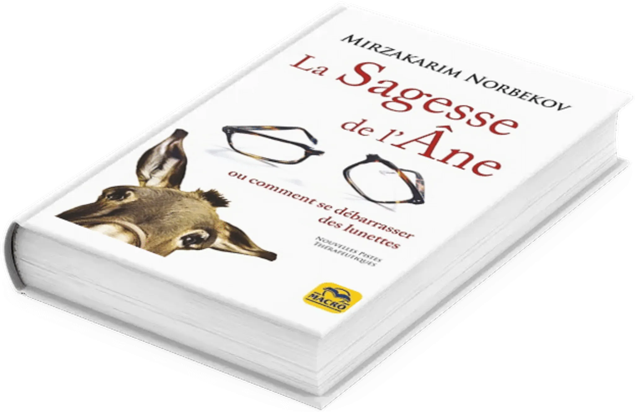 Stage de deuxième niveau Méthode Norbekov en ligne