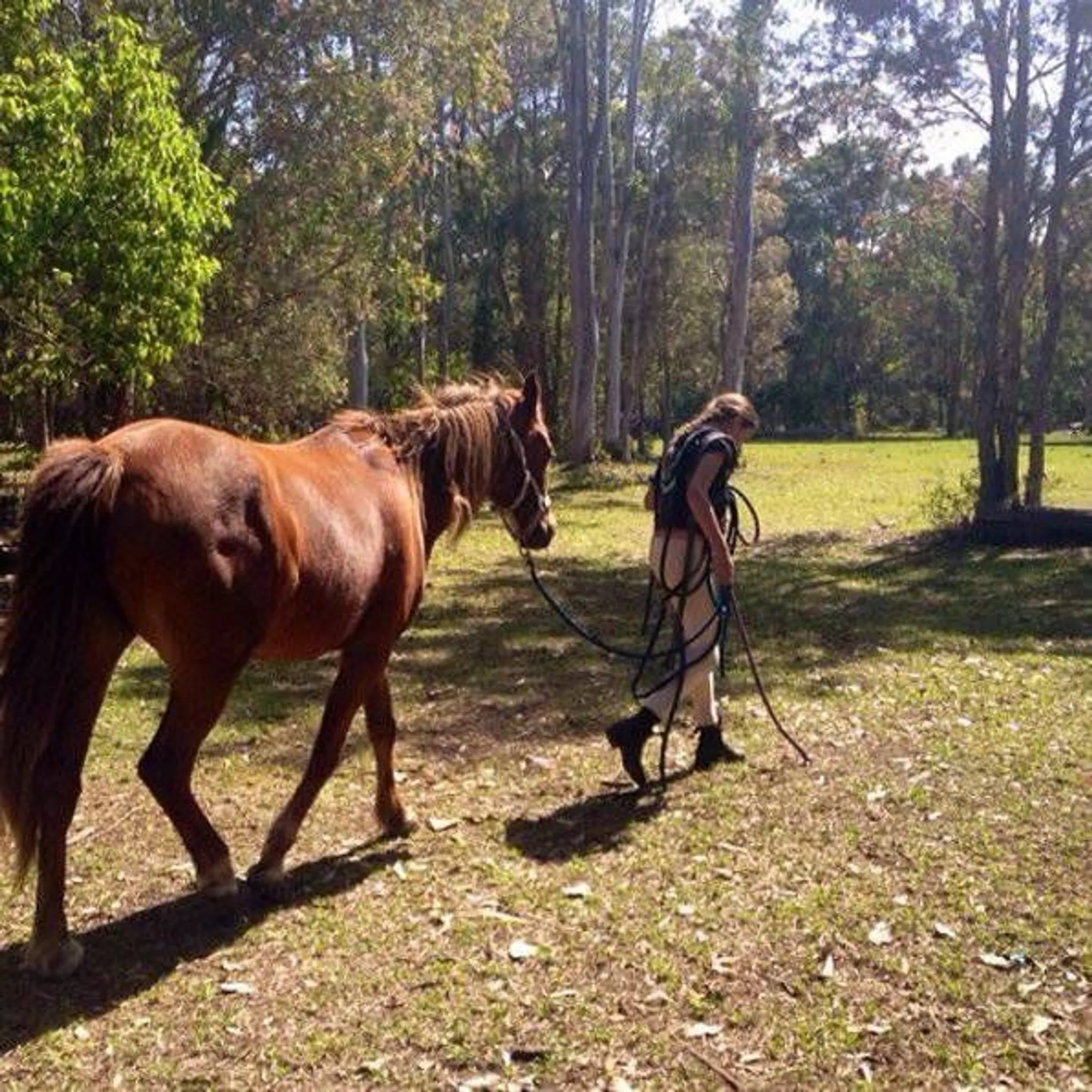 Seahorses Riding Center Forrest Ride Meeting Point