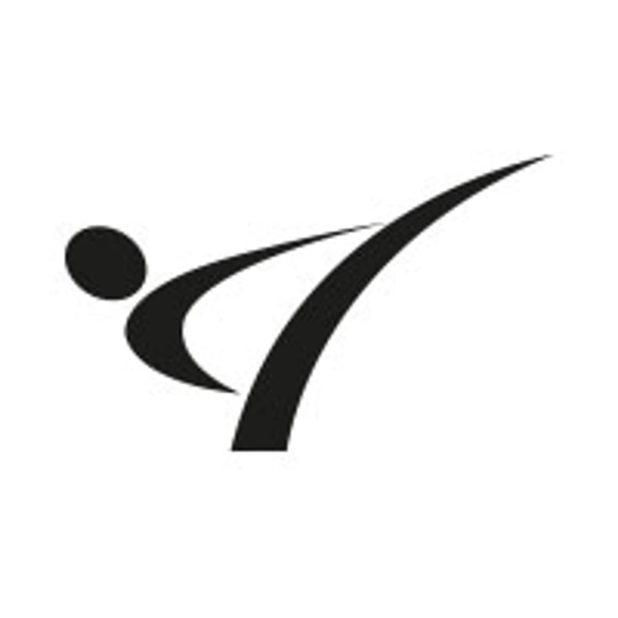 MASTERS OF MARTIAL ARTS