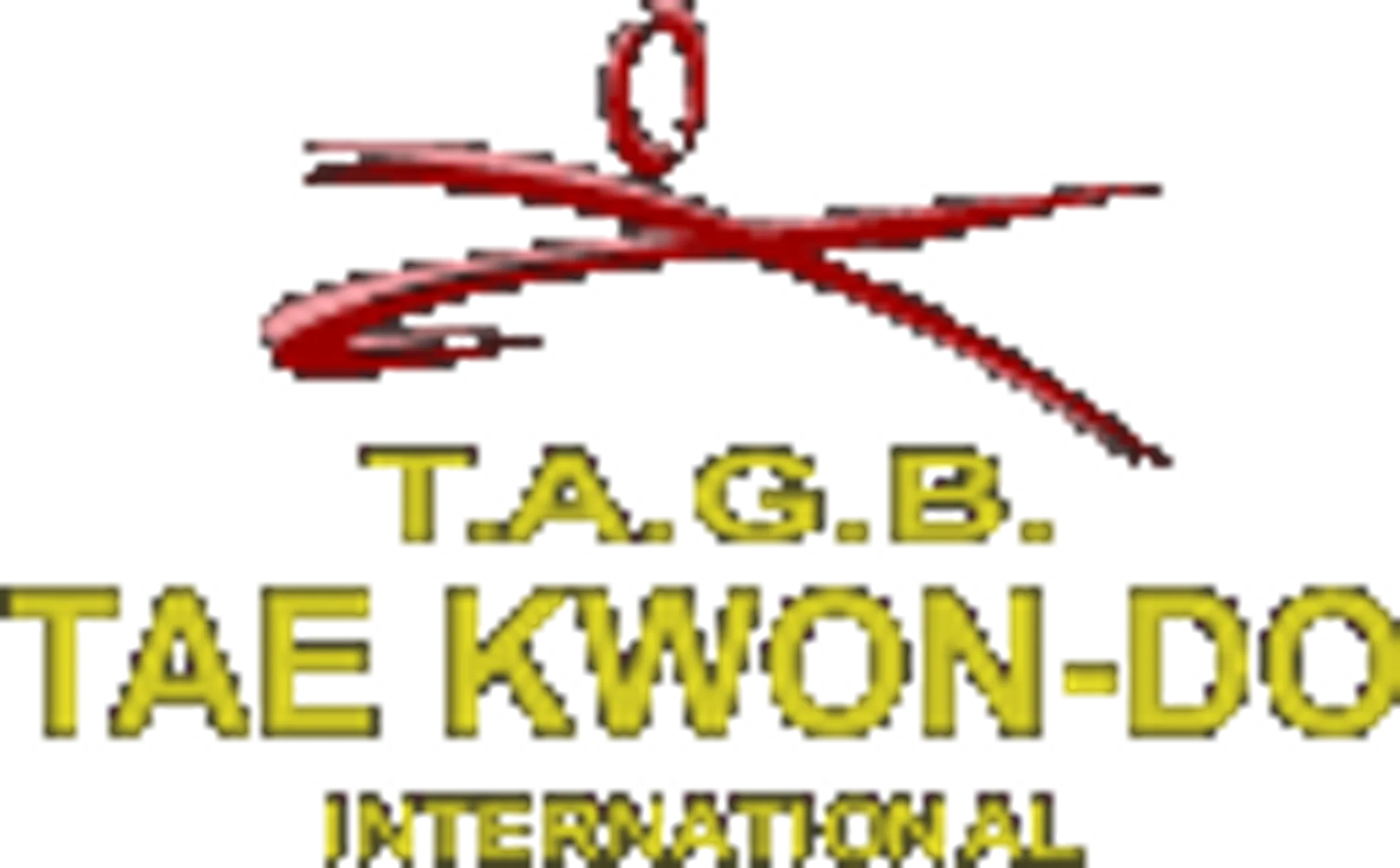 Amesbury Tae Kwon Do (TAGB)
