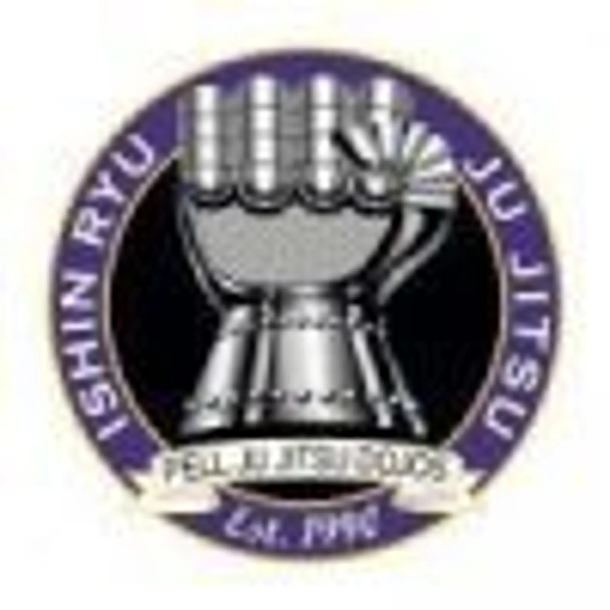 Ishin Ryu Ju Jitsu Thetford