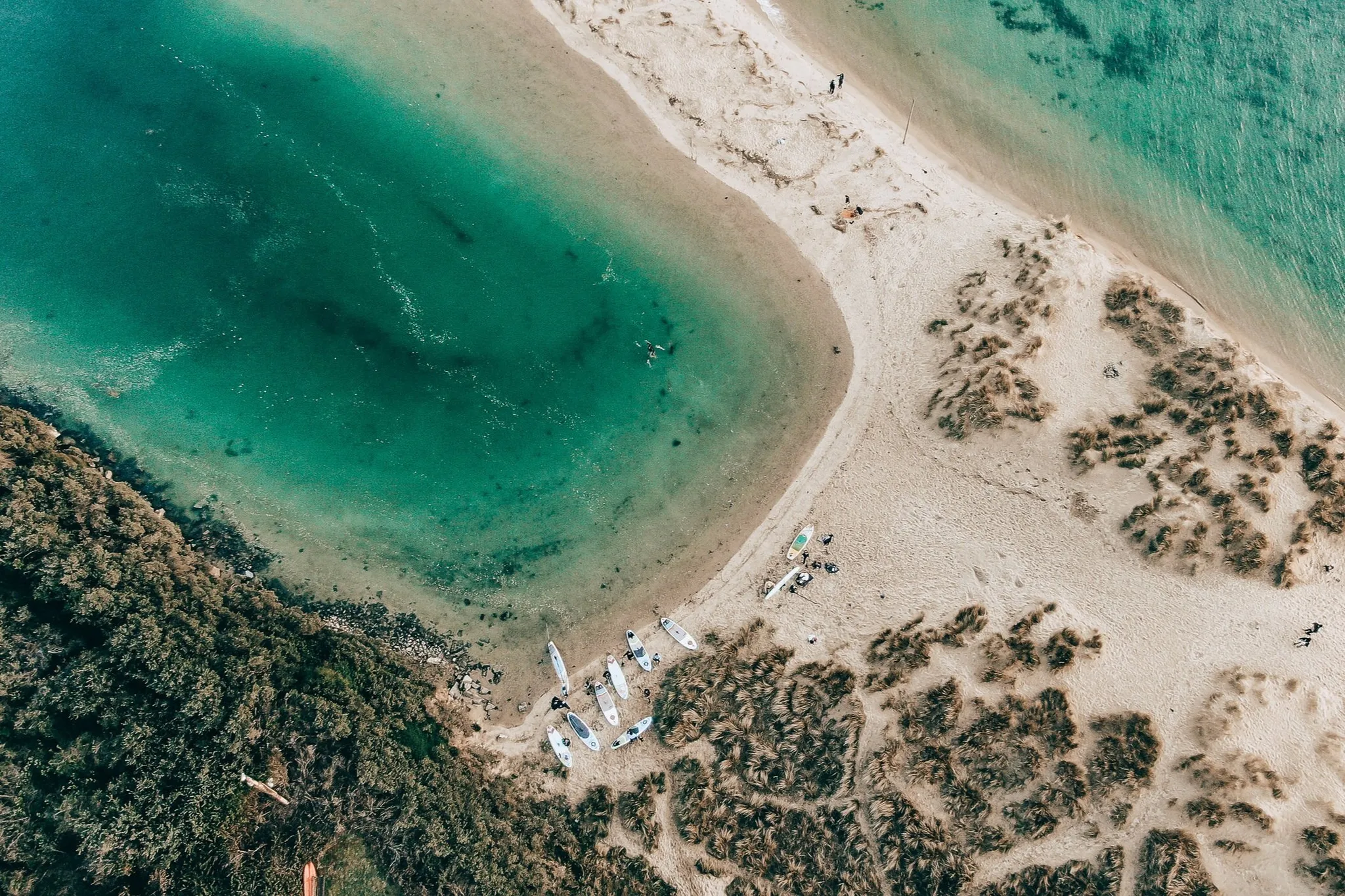 Surf Club Sessions at Porthtowan