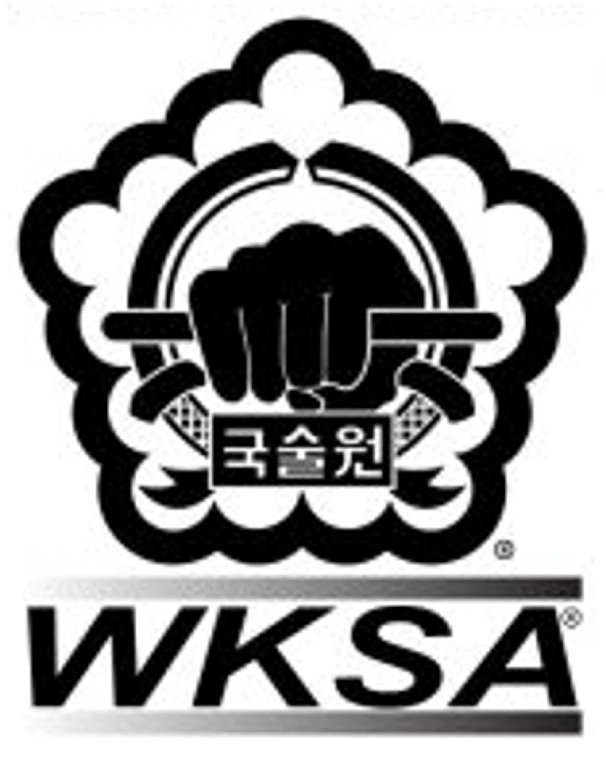 Kuk Sool Won of North Birmingham