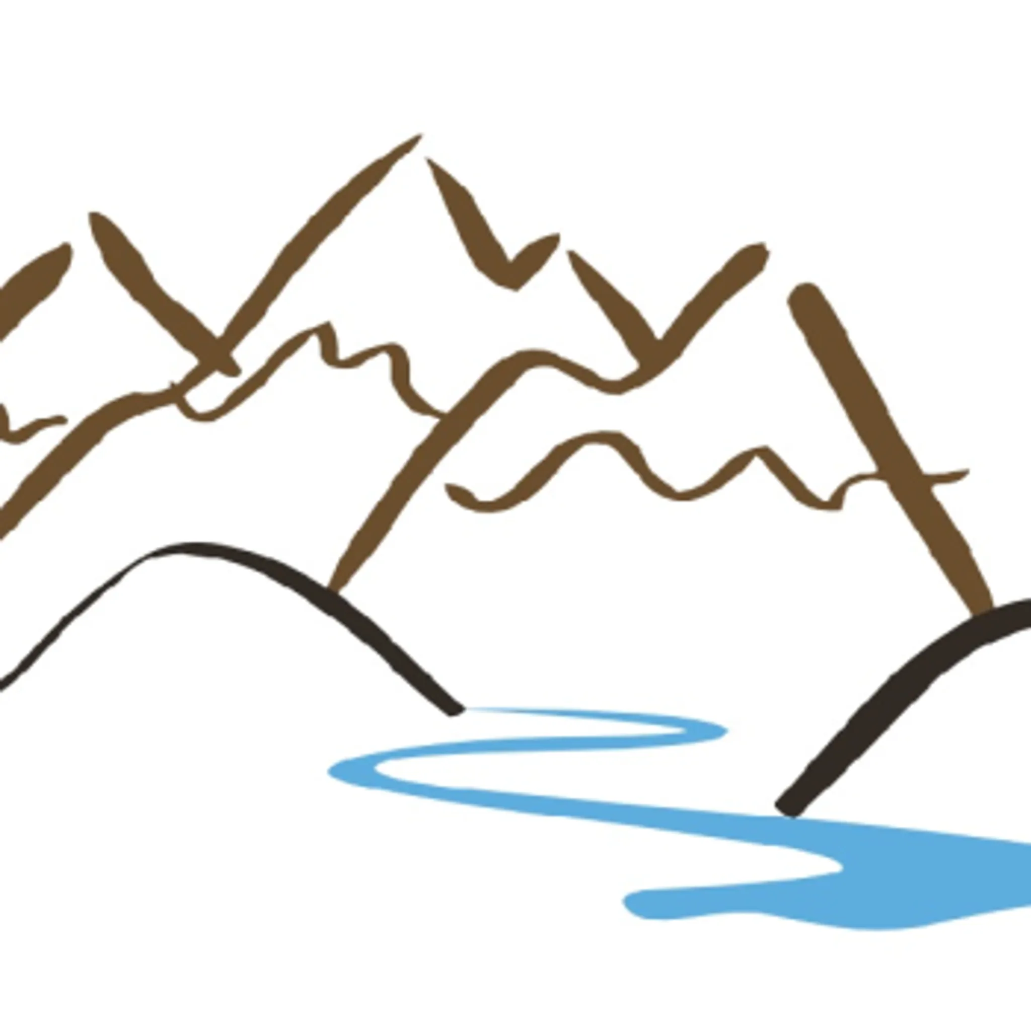 Warfield Centennial Pool