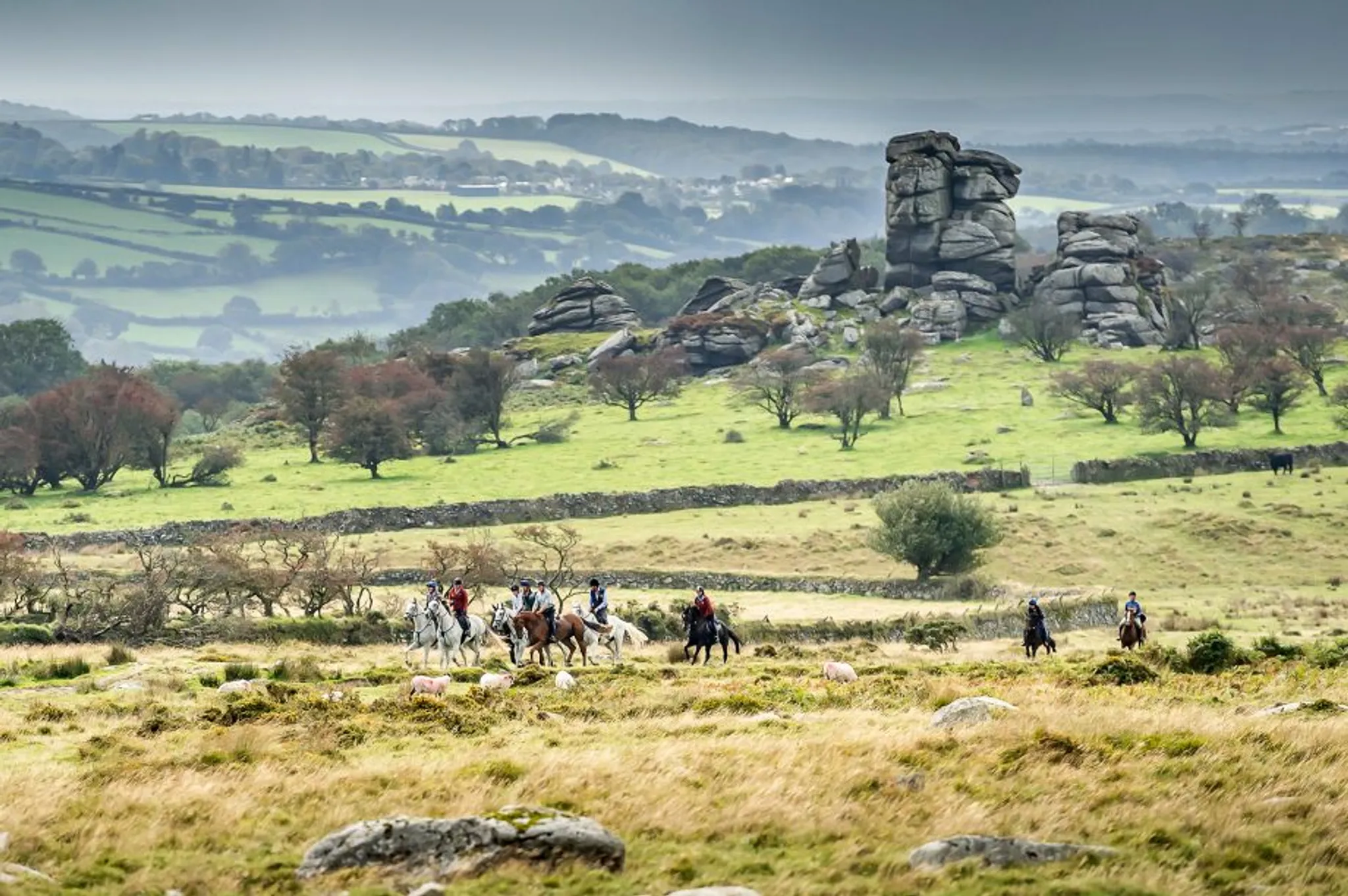 Dartmoor Tor to Tor 50