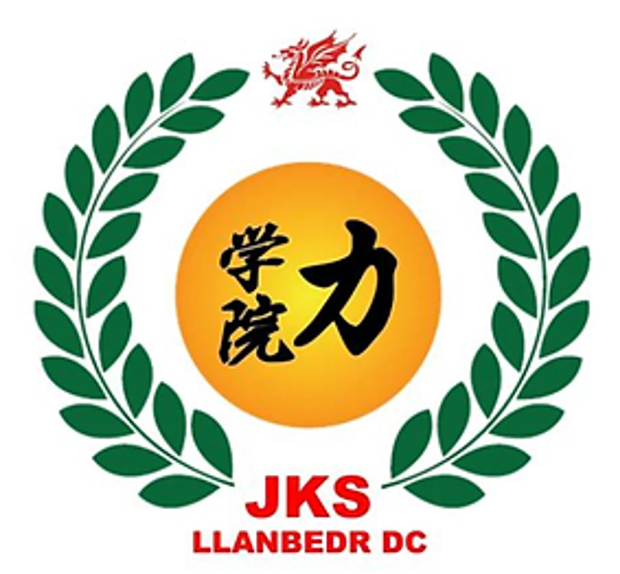 Llanbedr DC Karate Club