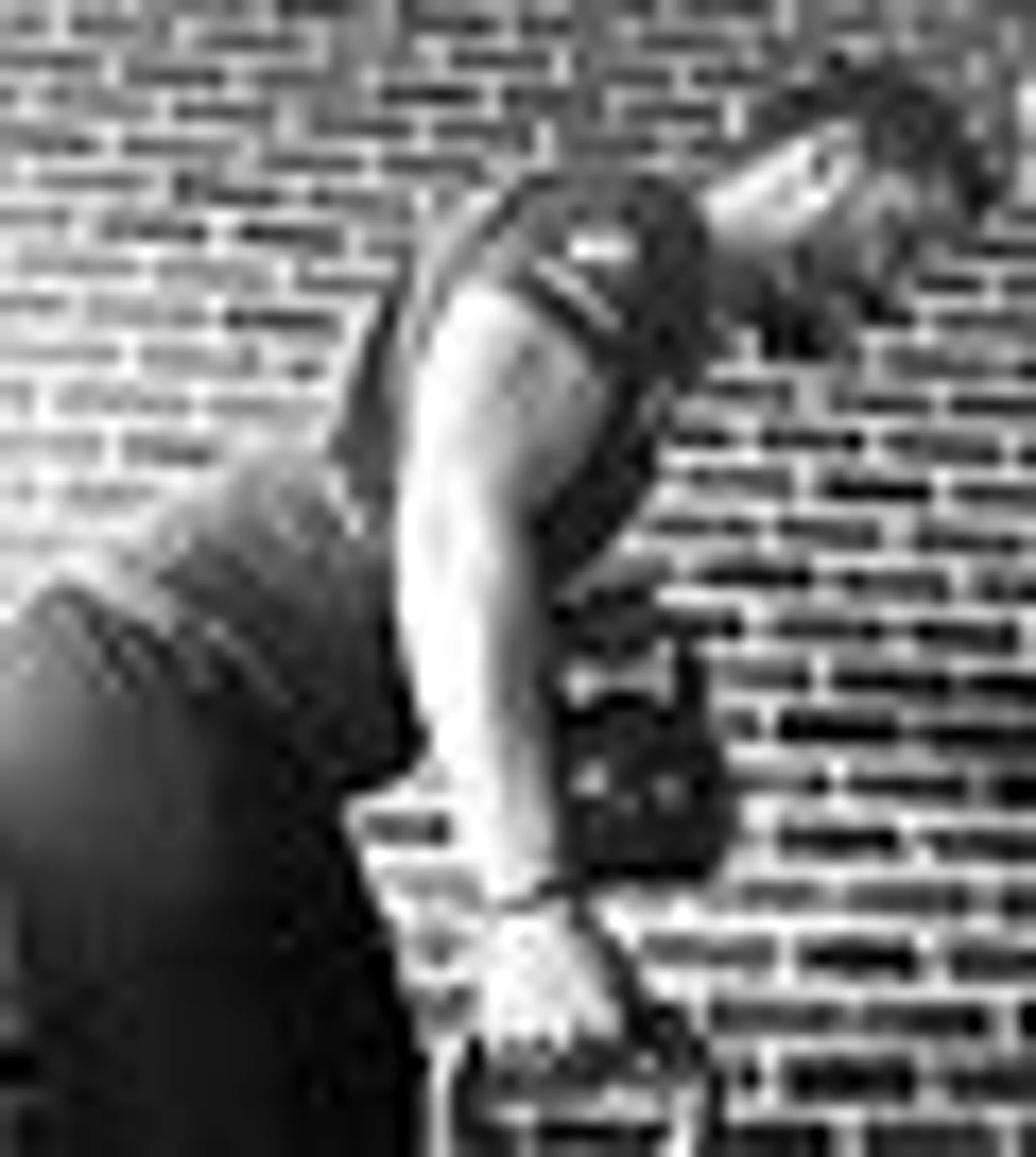 Olivier Delannoy Coaching sportif