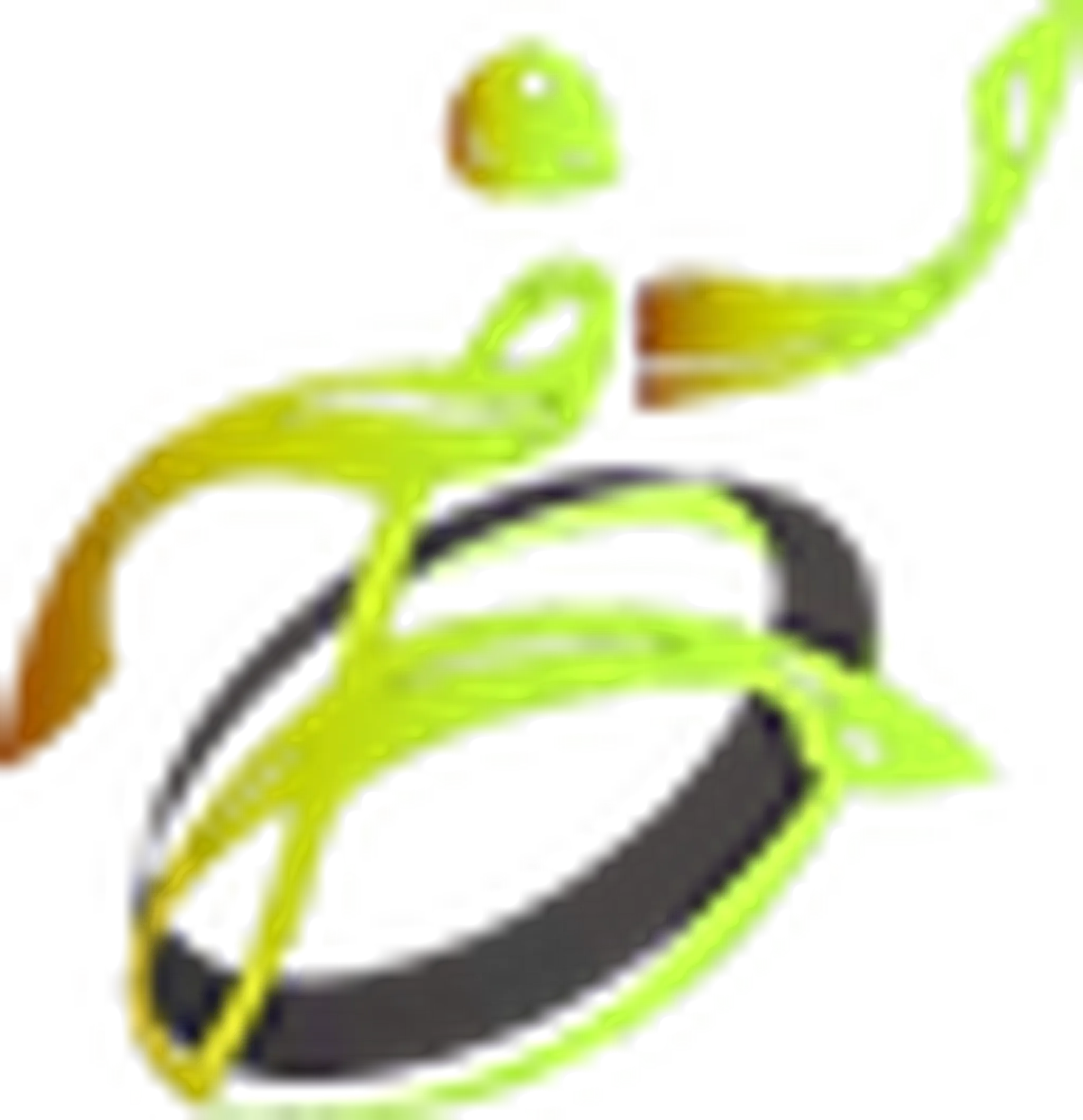 Wilson Personal Trainer - Strength, mobility, weight loss.