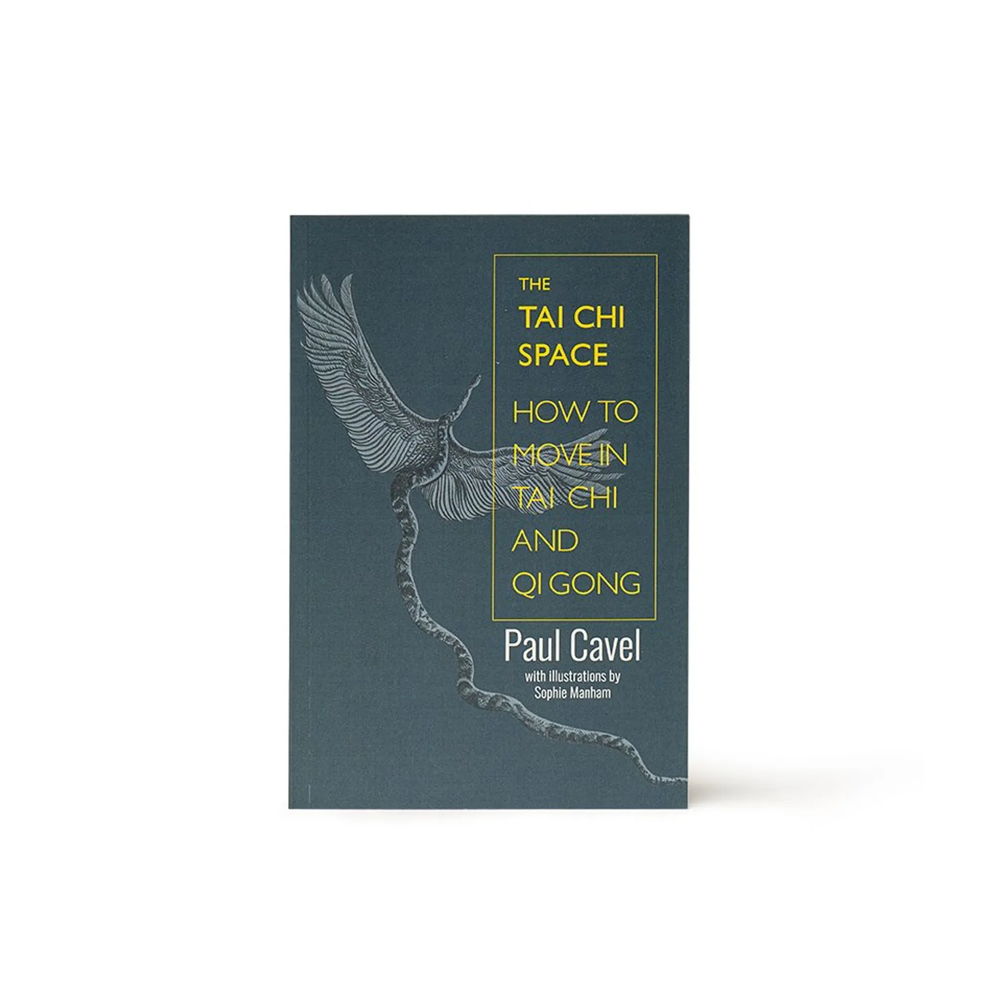Paul Cavel - The Tai Chi Space