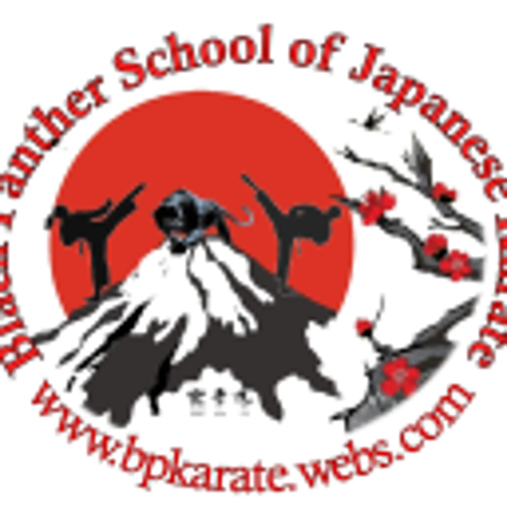 Alleyn Black Panther School of Japanese Karate