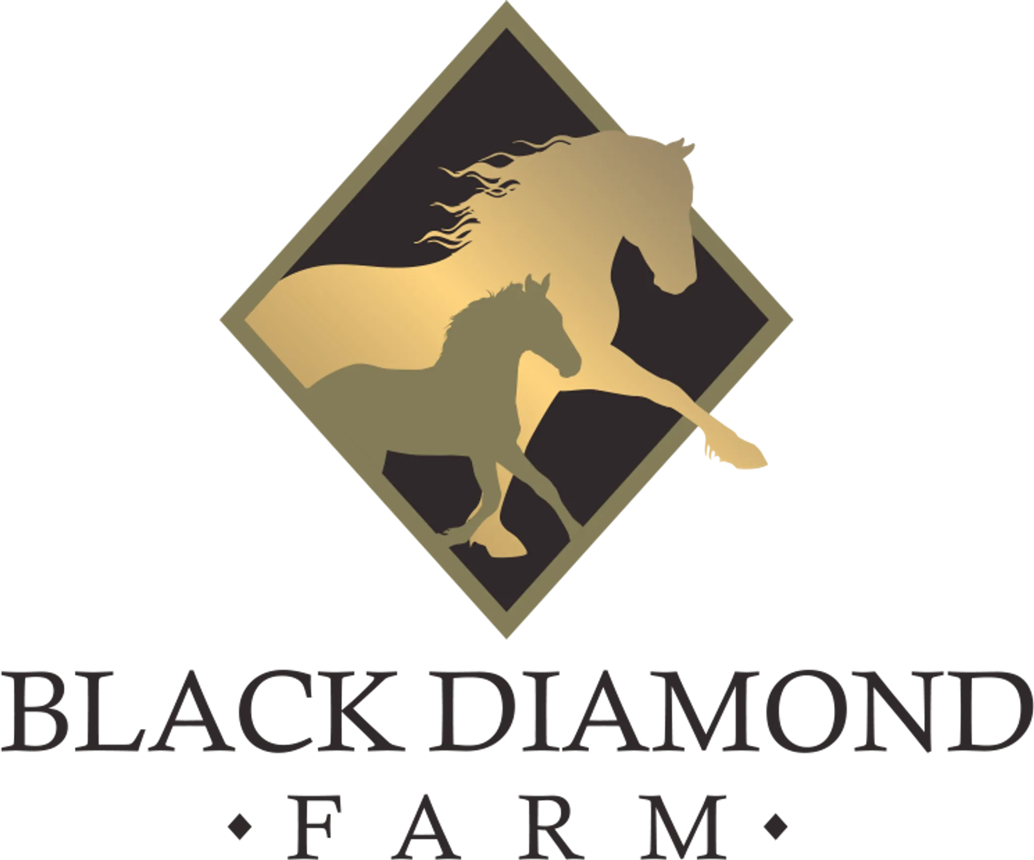 BLACK DIAMOND FARM