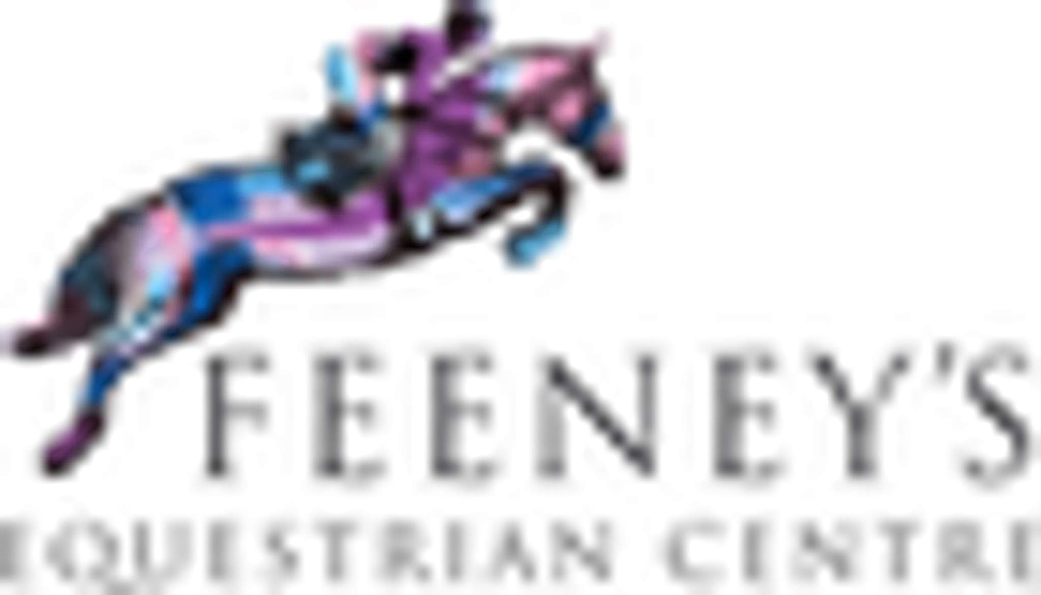 Feeneys Equestrian Centre Galway