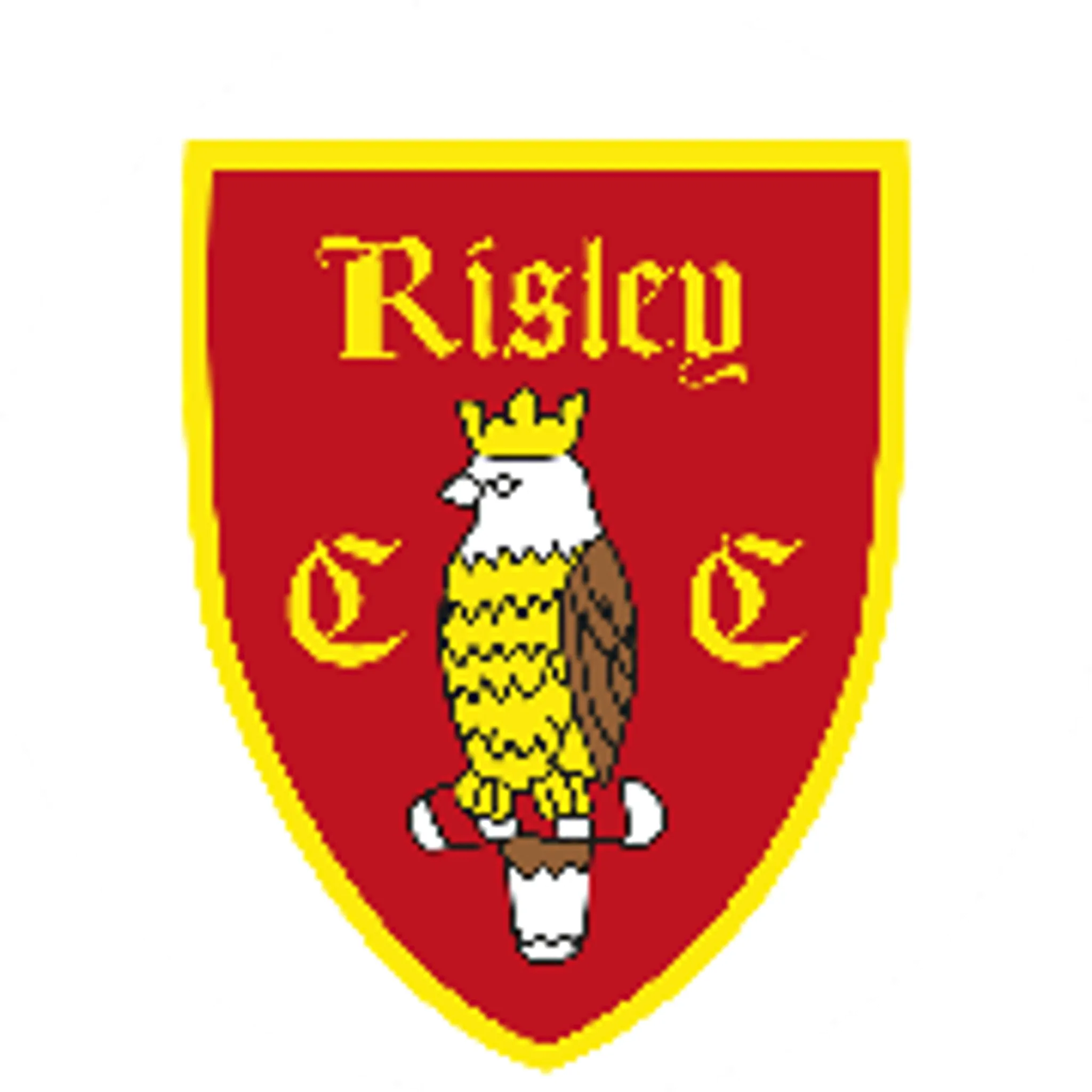 Risley Cricket Club