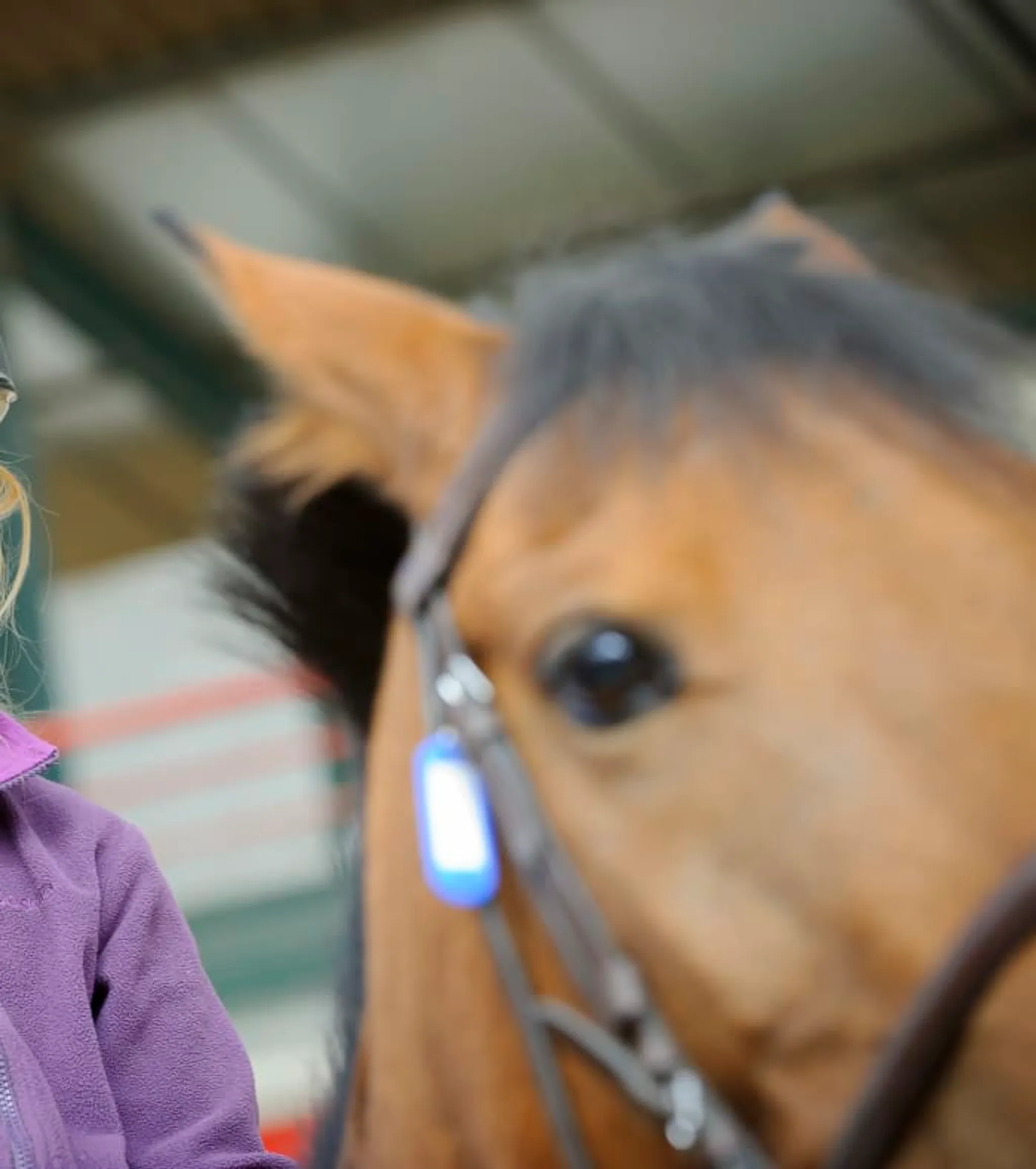 Equestrian Center Du Chesnoy