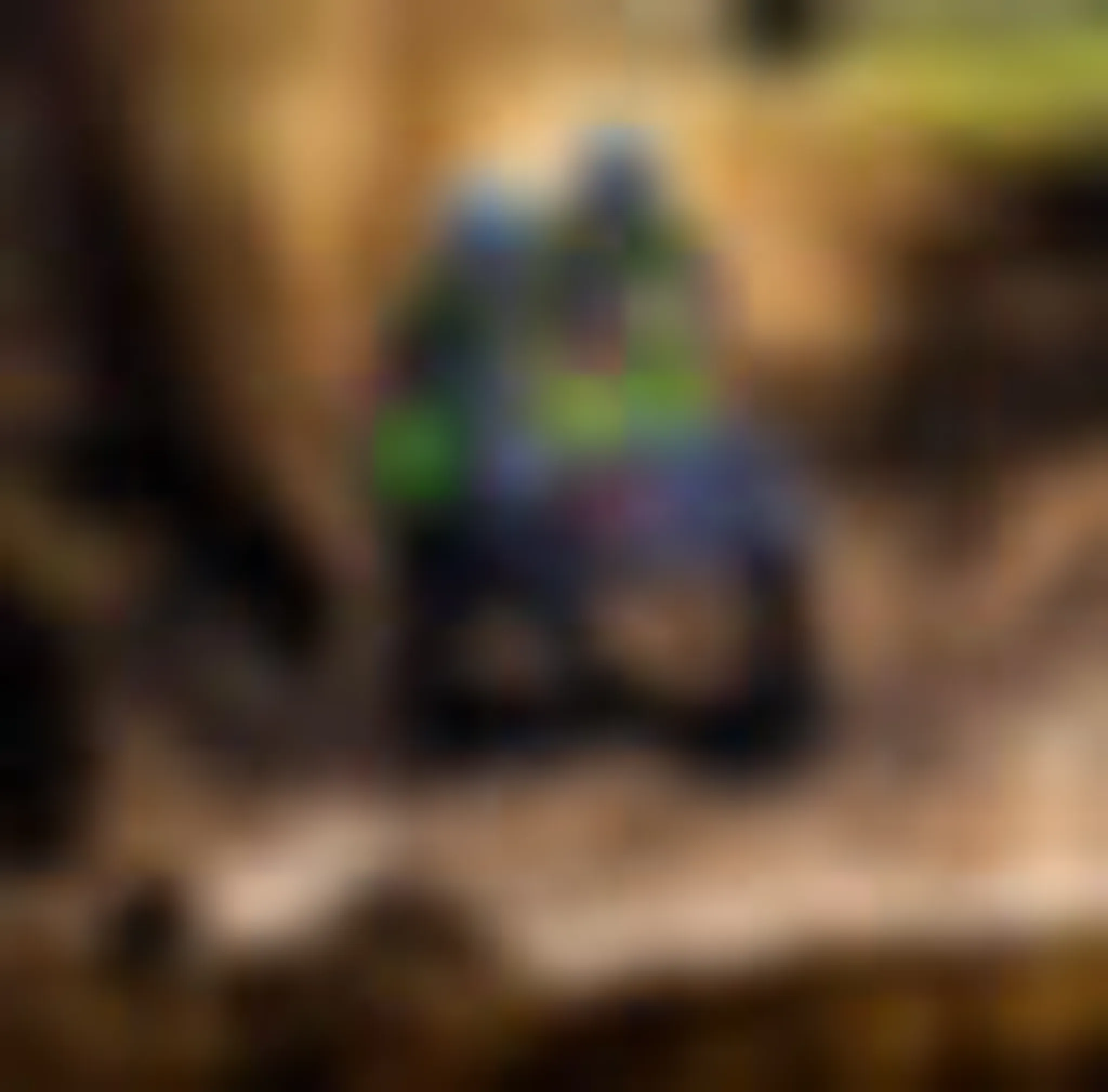 Jack Clarke - Performance Coach