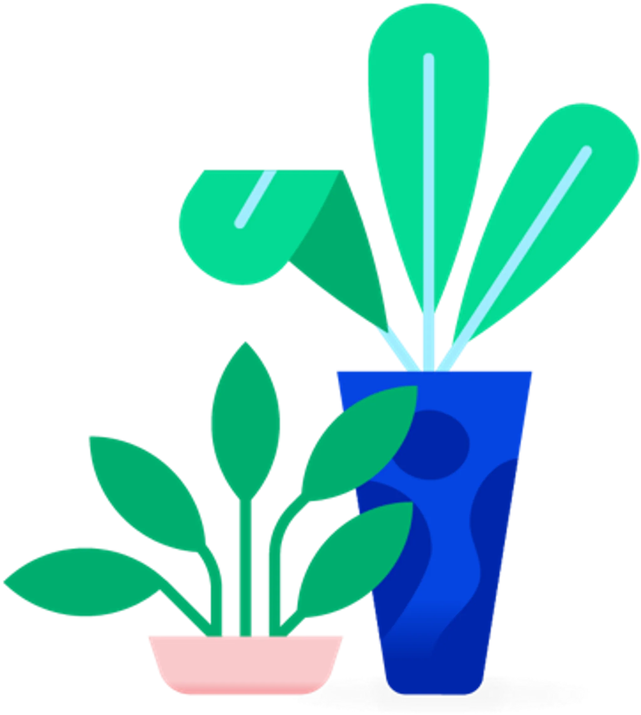 Align Yoga with Rachael