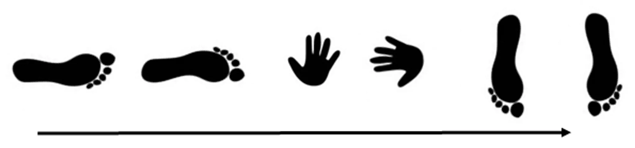 The Artemis Centre at Melbourne Girls Grammar