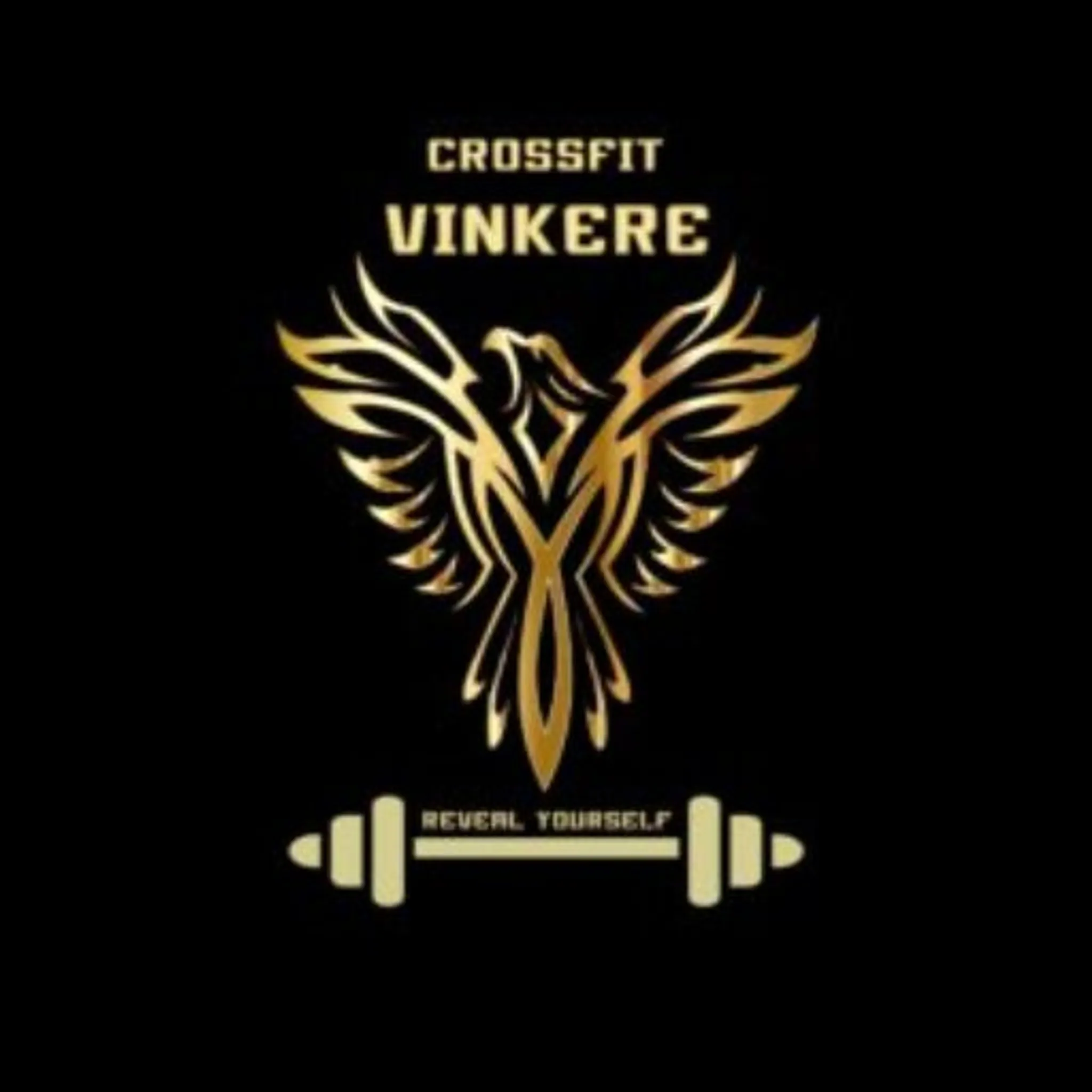 CrossFit Vinkere