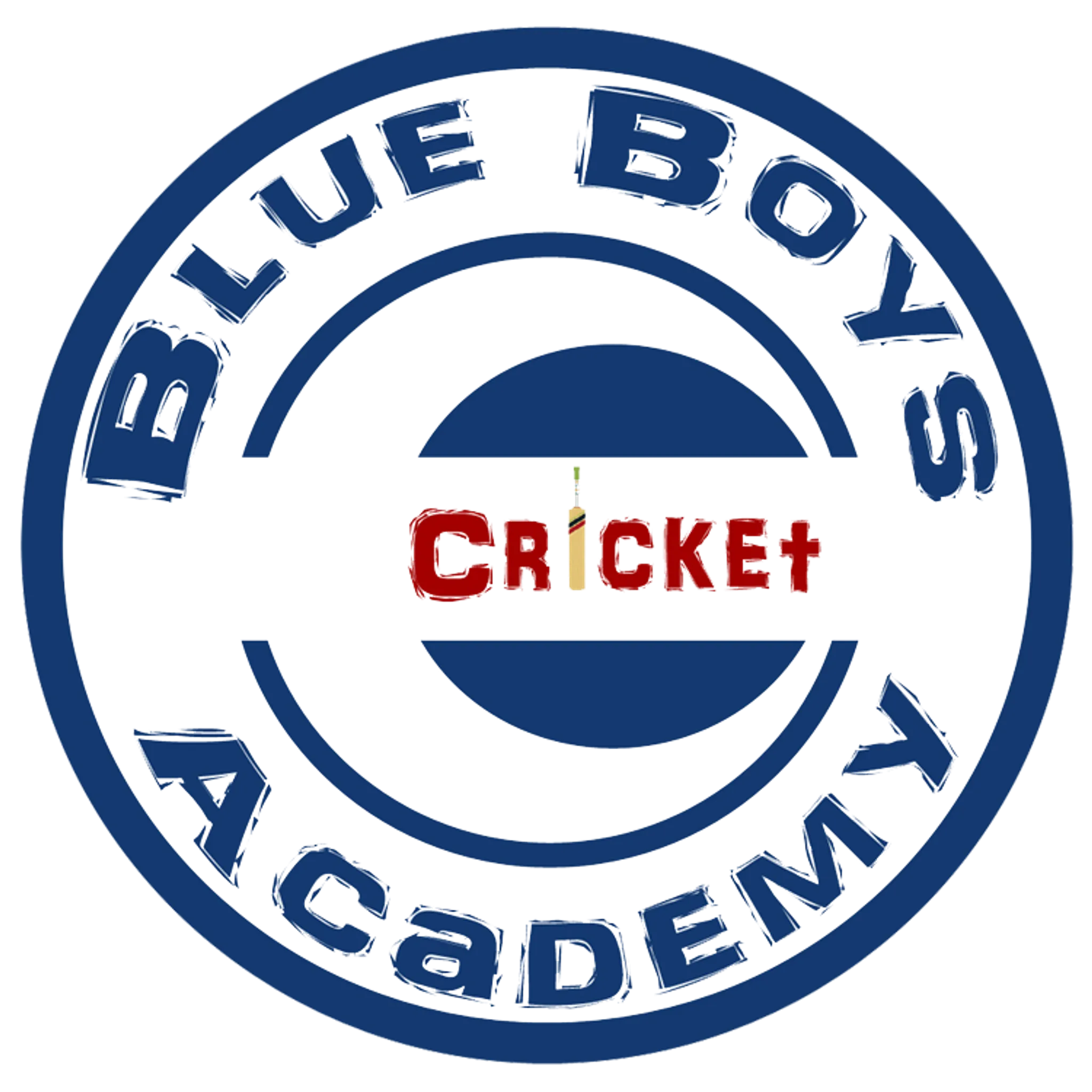 Blue Boys Cricket Academy (BBCA)