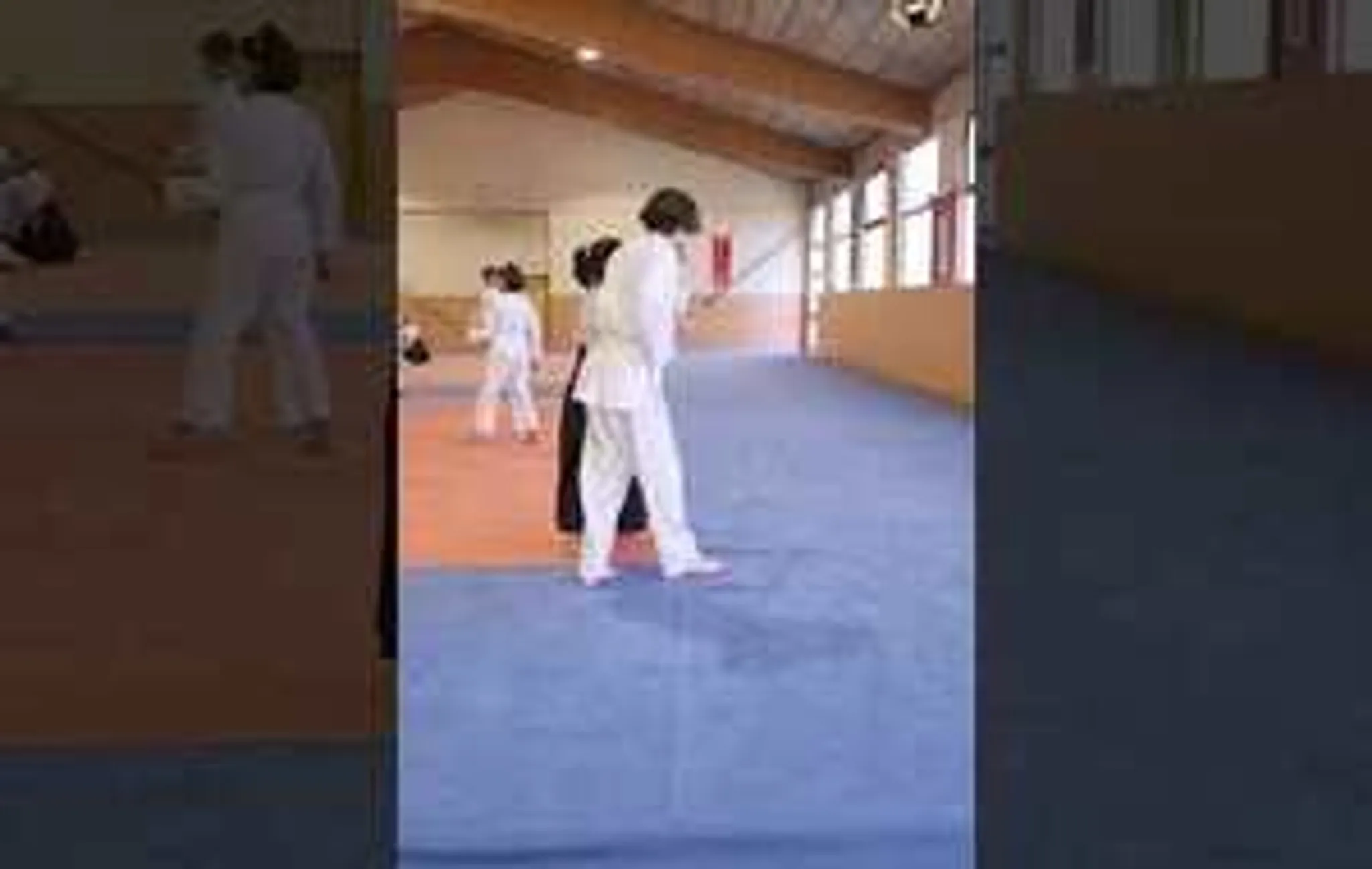 L'aïkikaï De Cran-Gevrier - Annecy