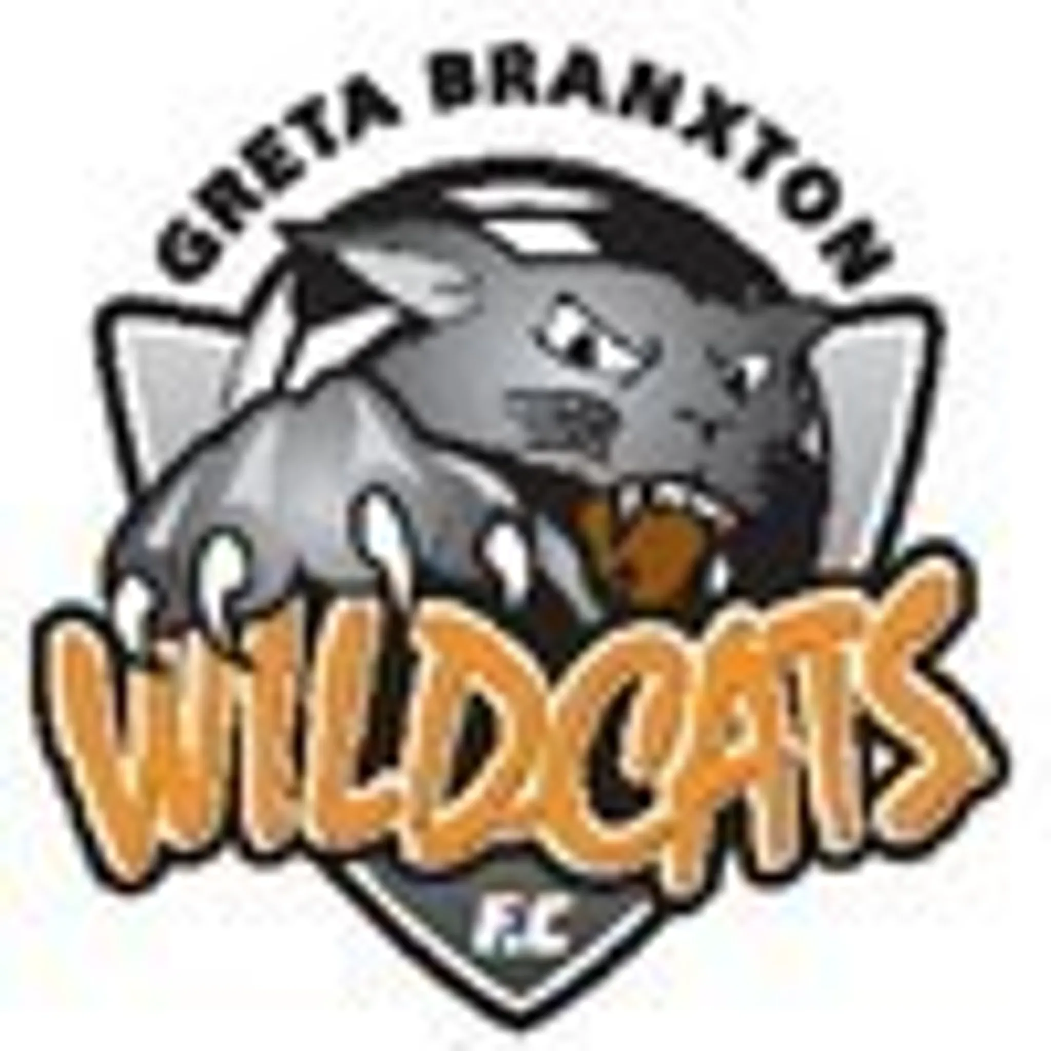 Greta Branxton Football Club