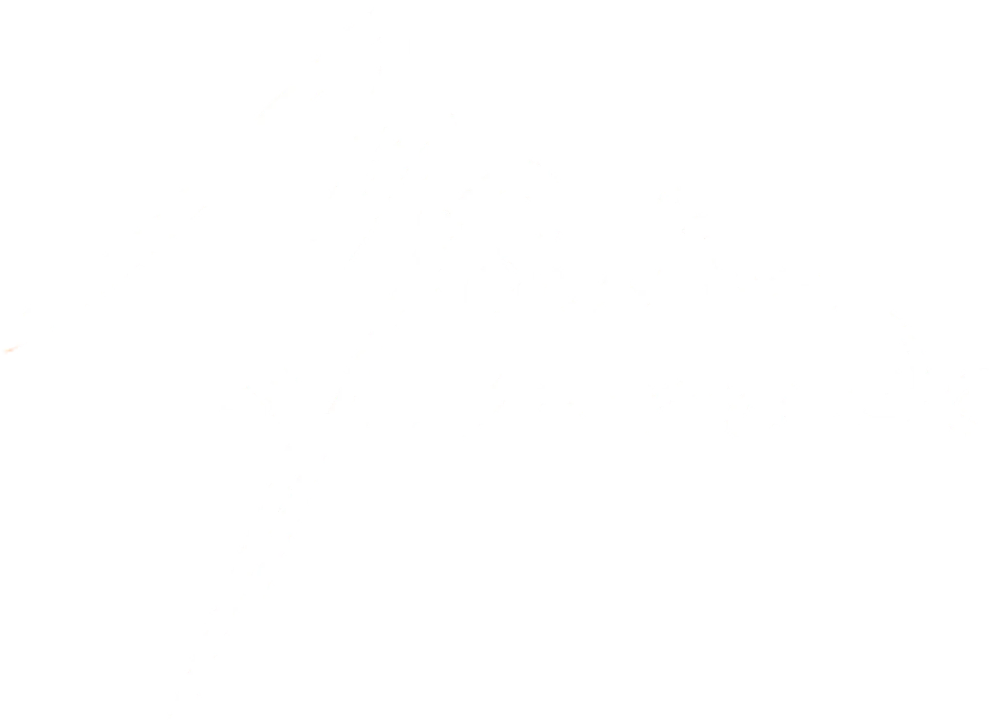 PONEY CLUB DU MOULIN DE PARADE