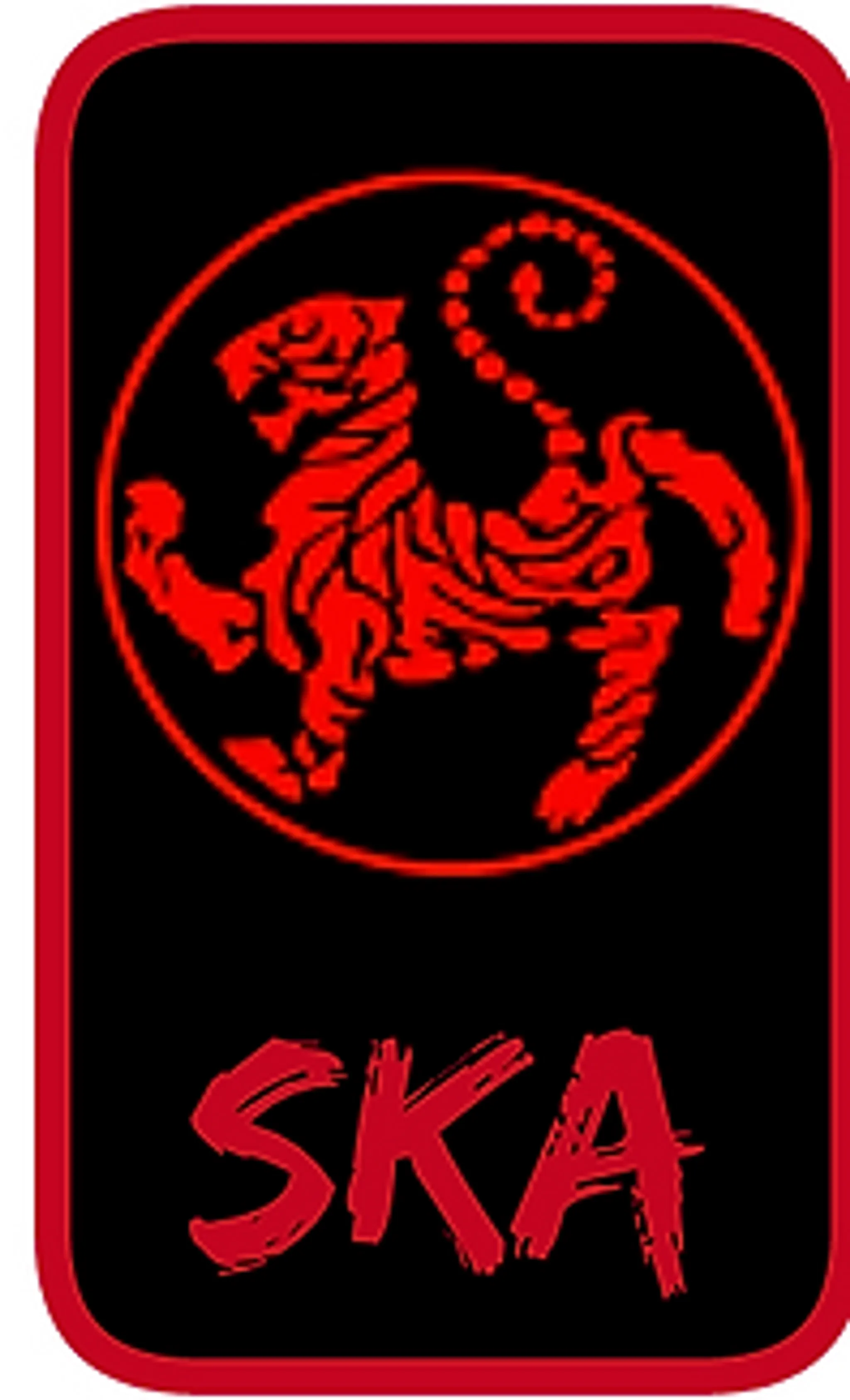 Shotokan karat Aylmer