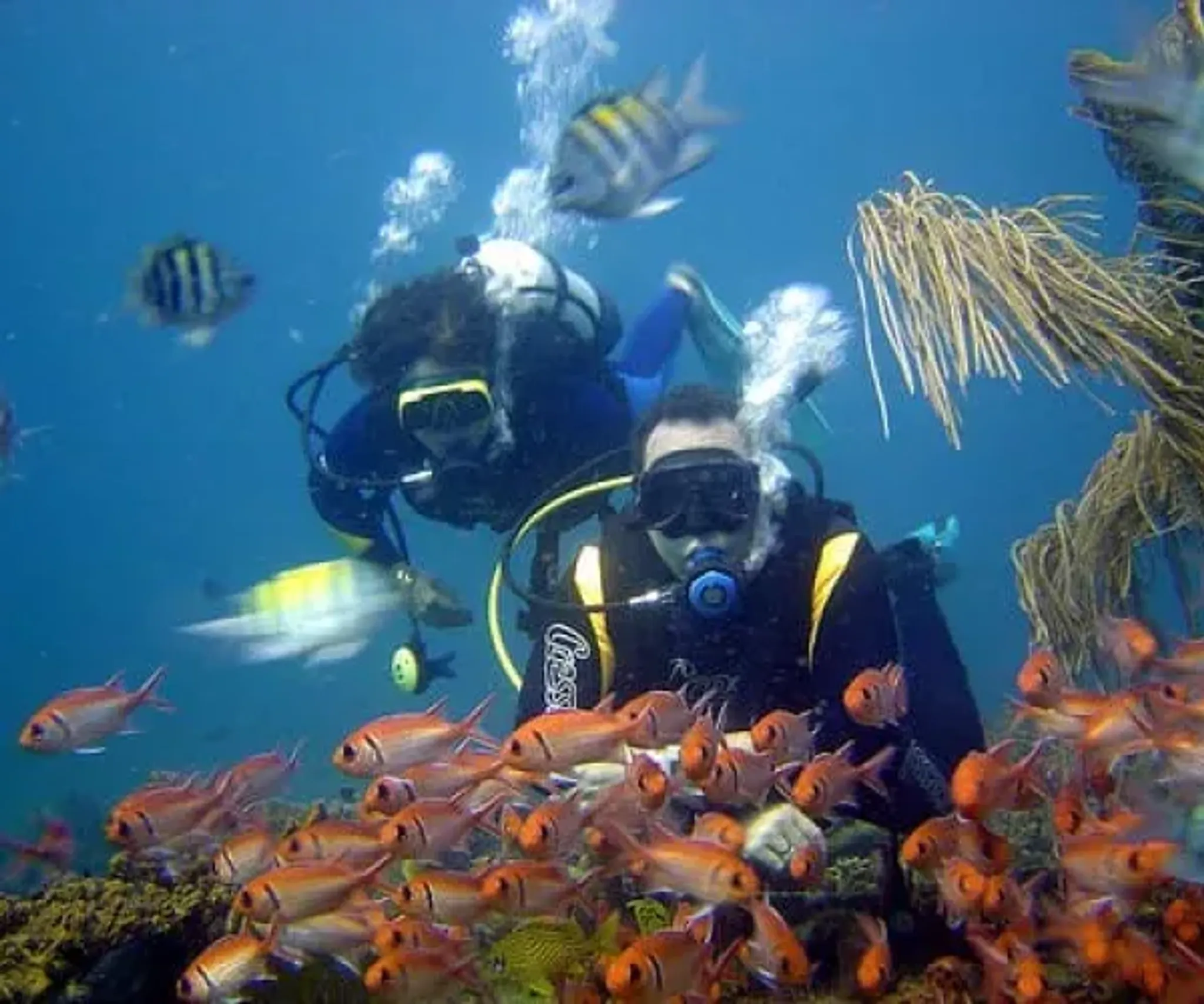 Triton Diving Ireland