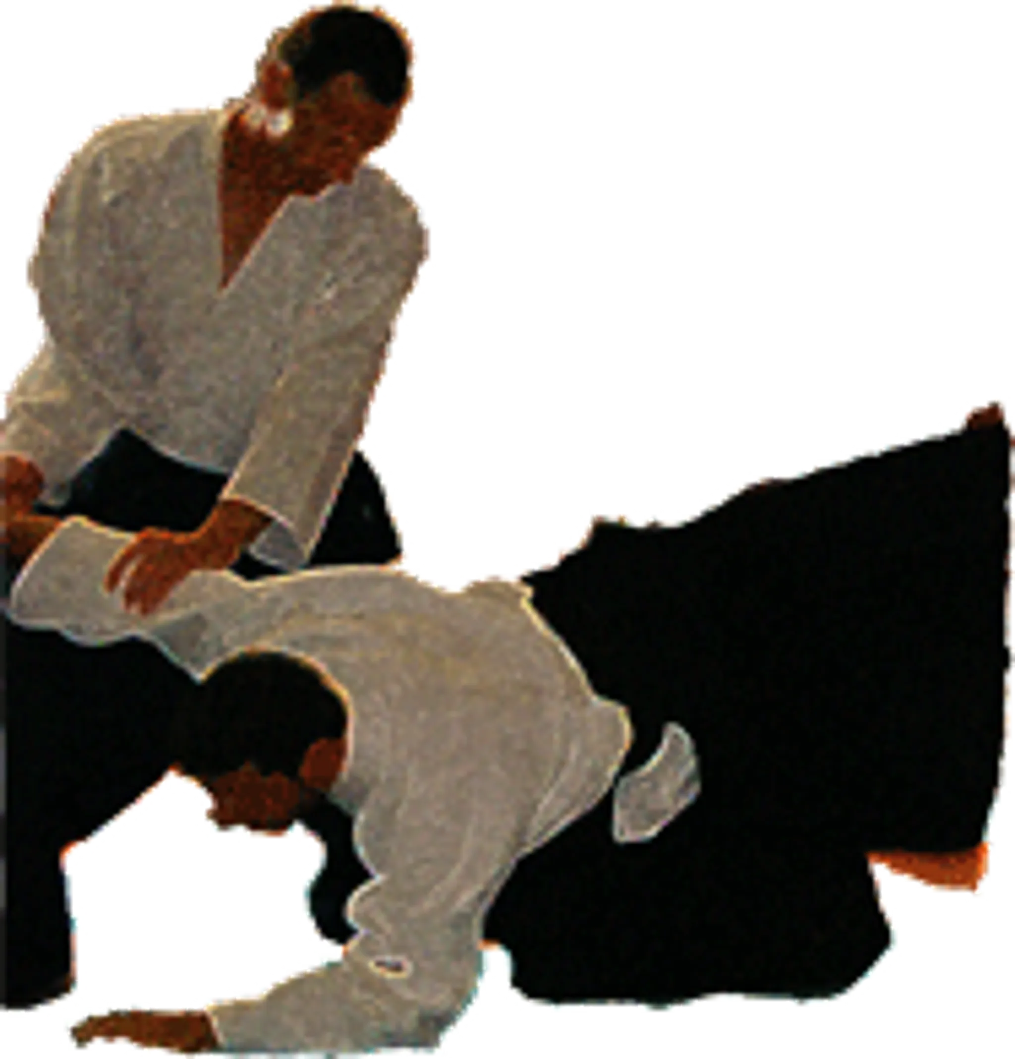 Section Aikido Of La Maison De Papier