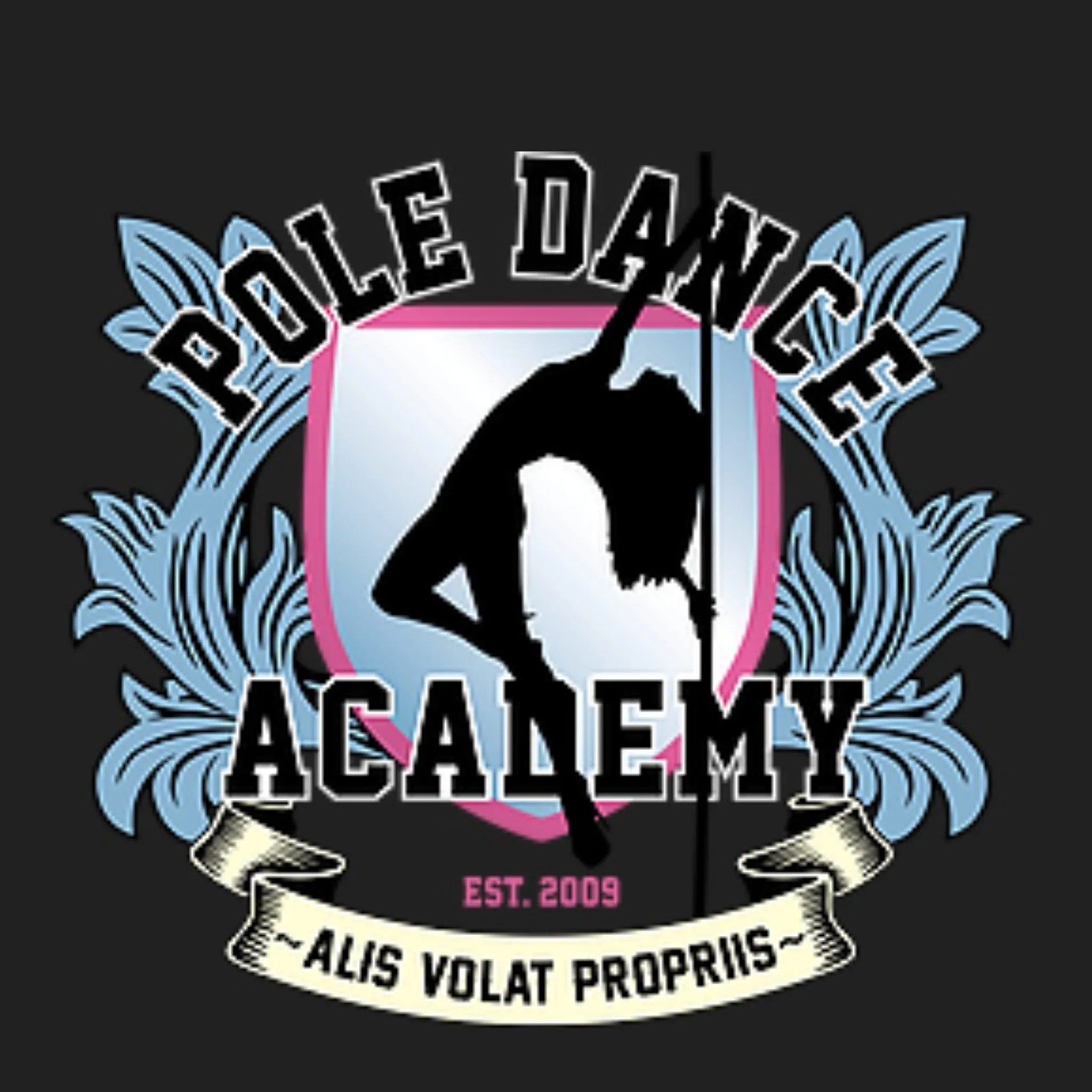 The Pole Dance Academy Crows Nest