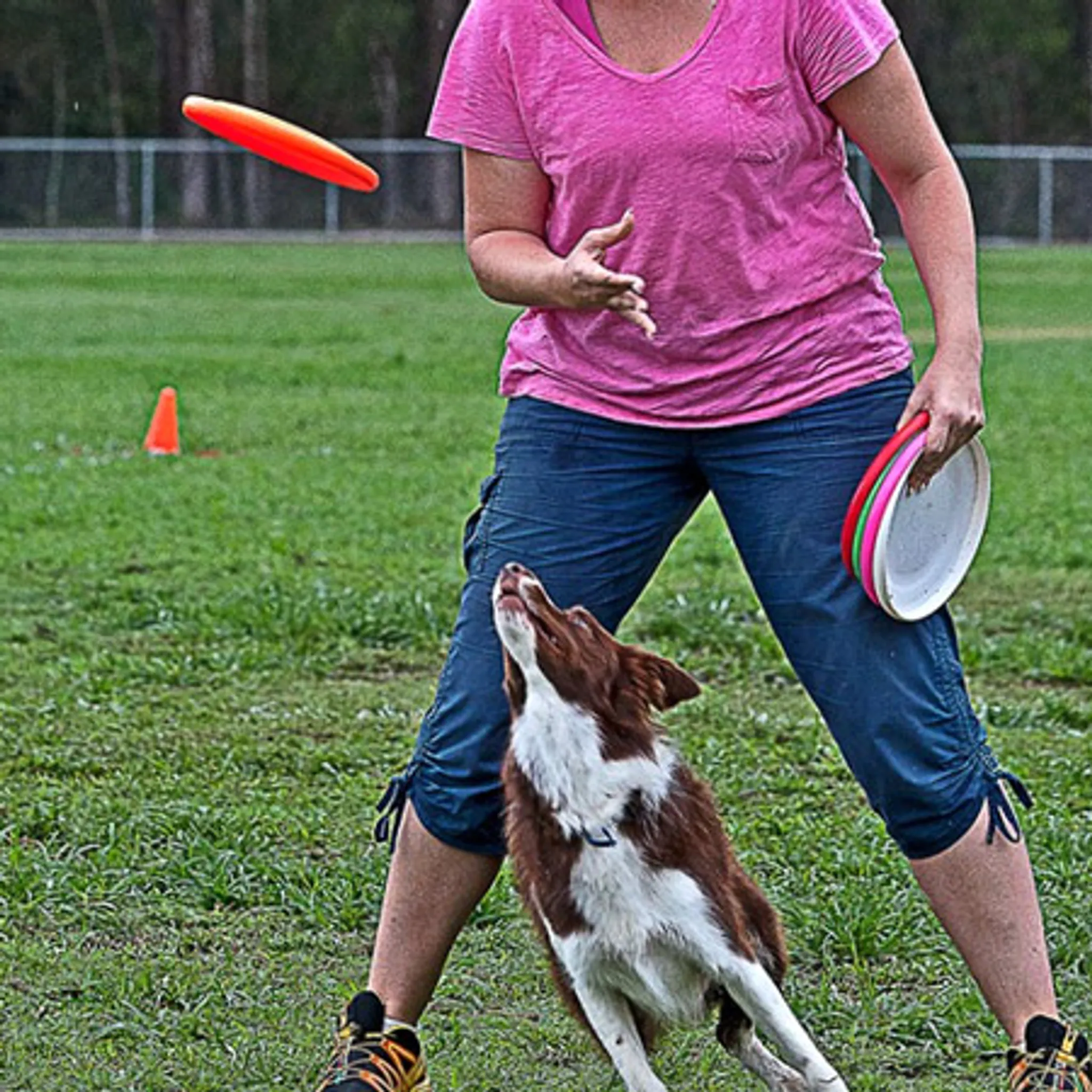 Canine Disc Introduction Class
