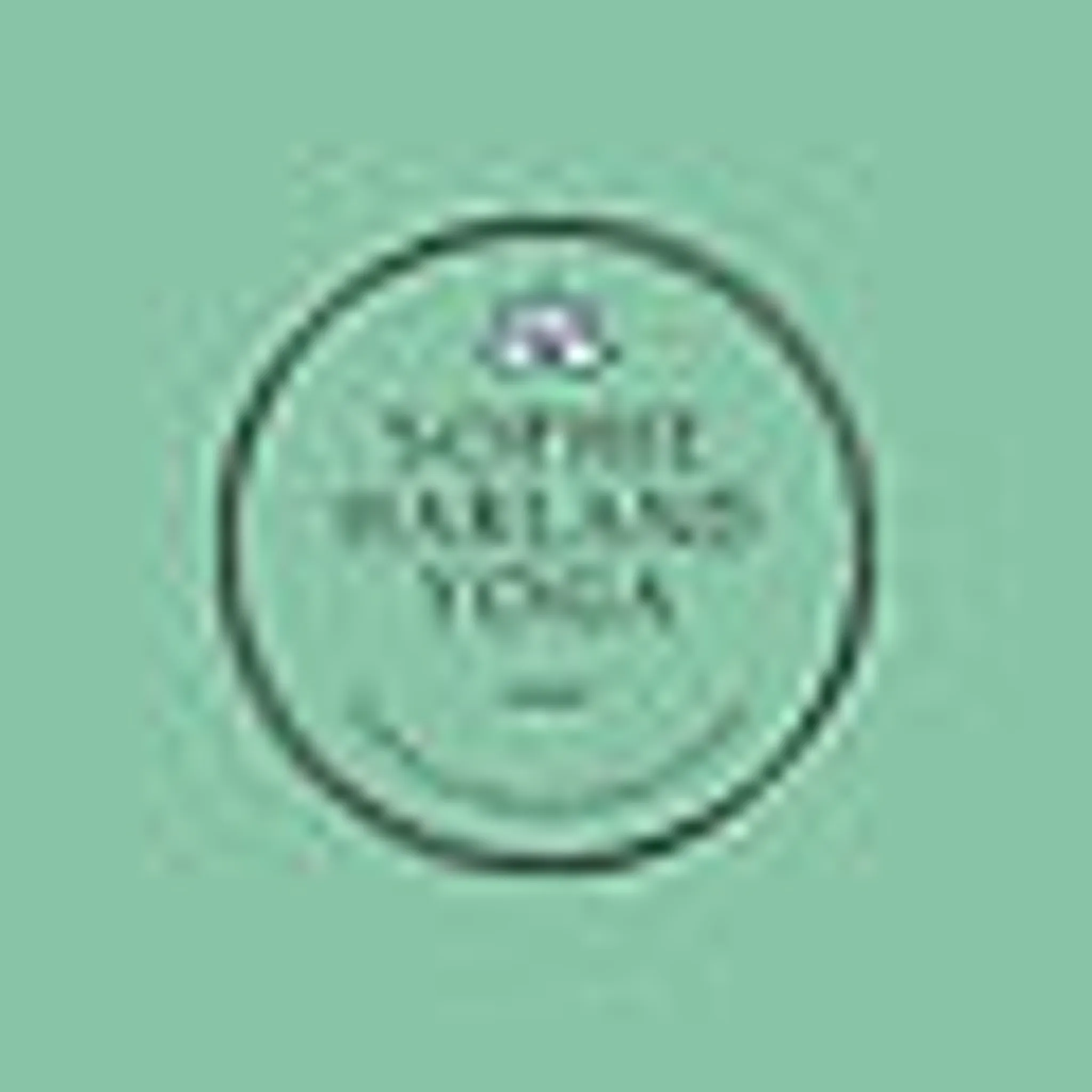 Butterfly Warrior - Sophie Harland Yoga