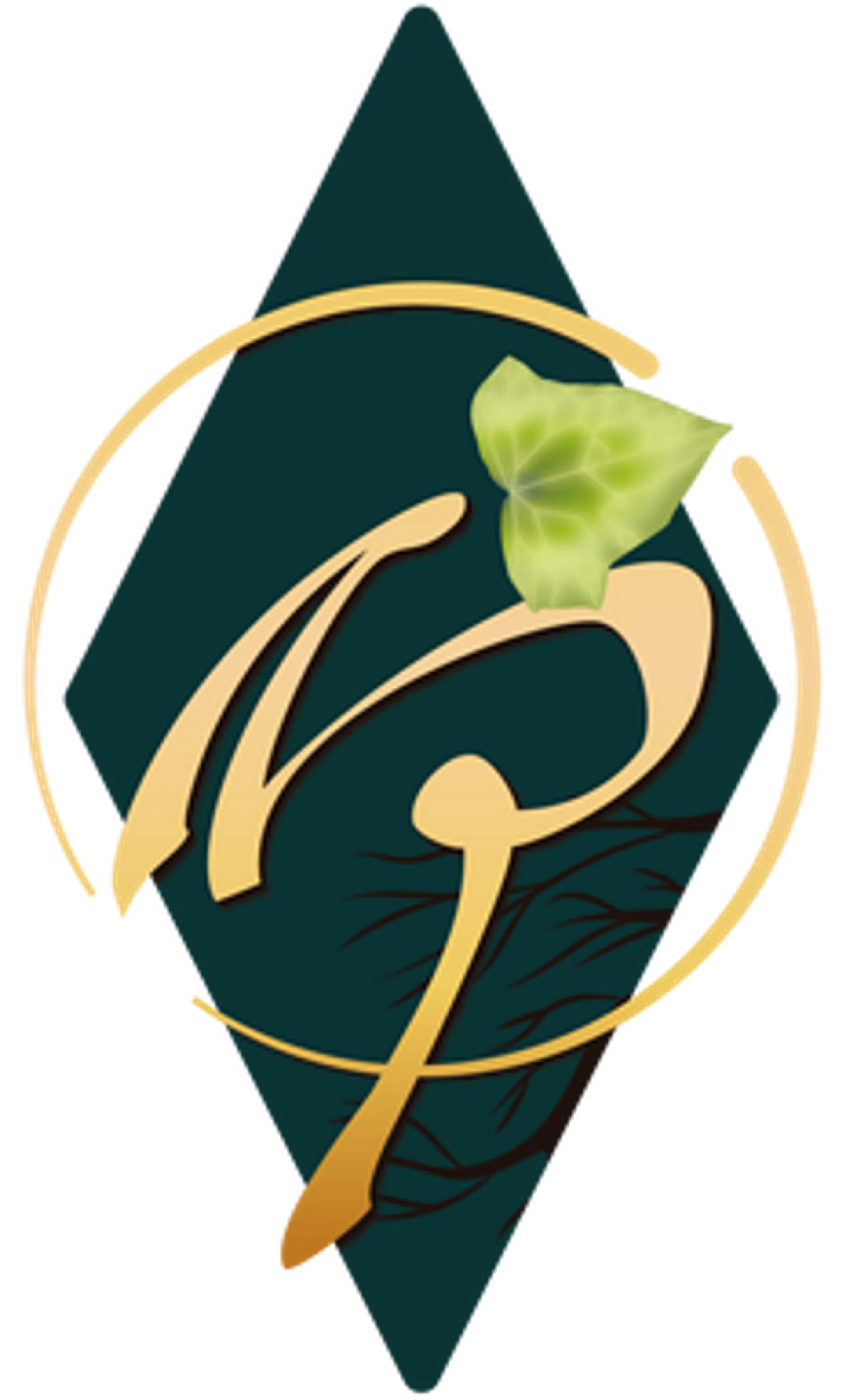 INNER PROFILER - Hypnose, Thérapie Brève Intégrative & Coaching avec Virginie