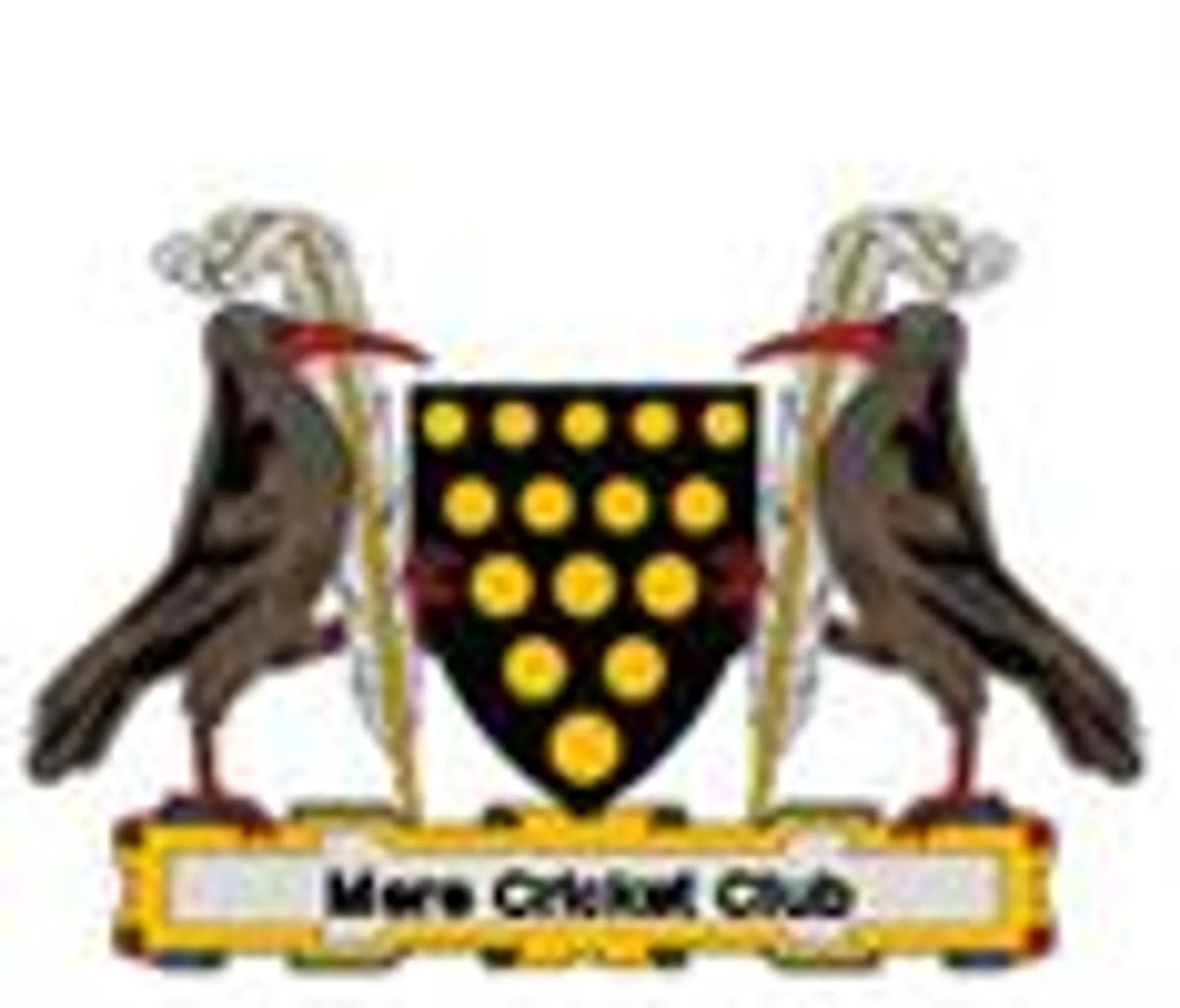 Mere Cricket Club