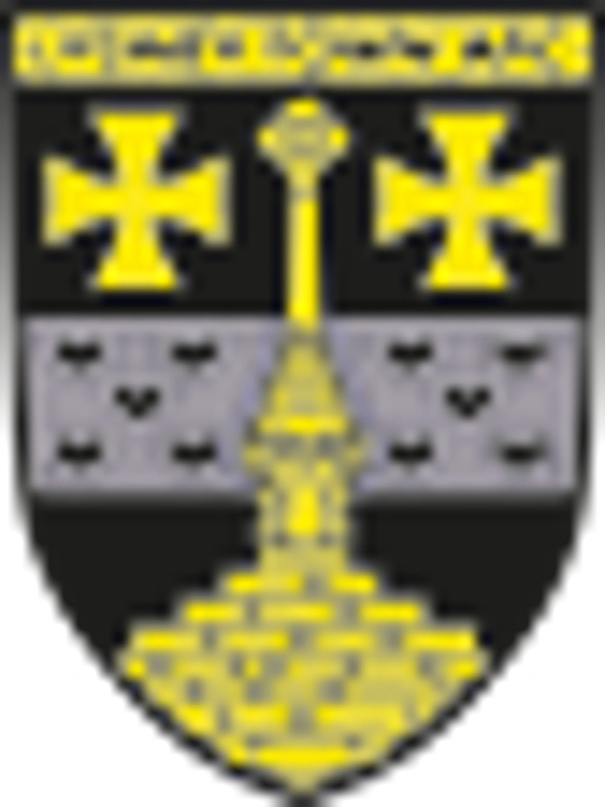 Lydney Town AFC Football Club